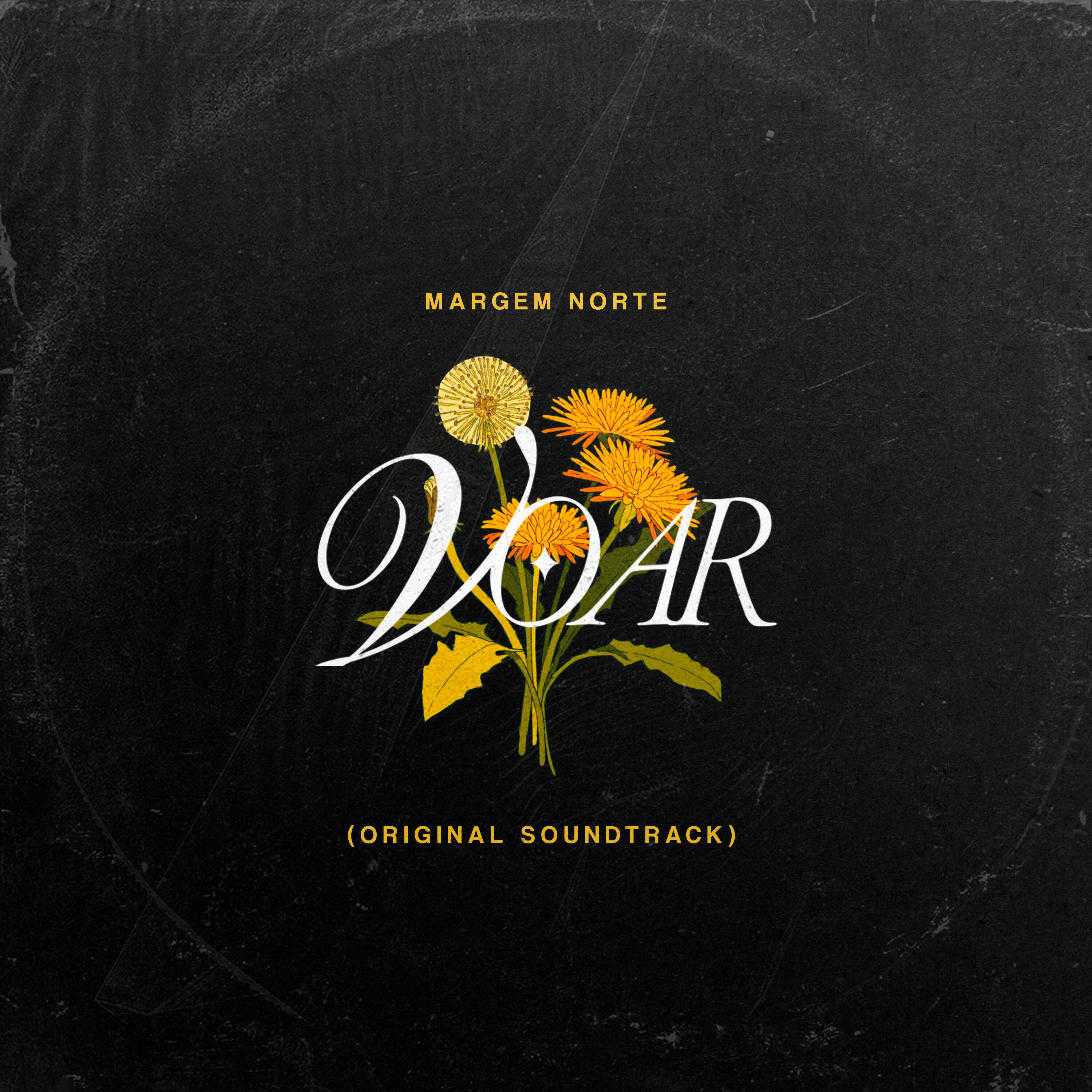 Релиз Voar (Original Soundtrack)