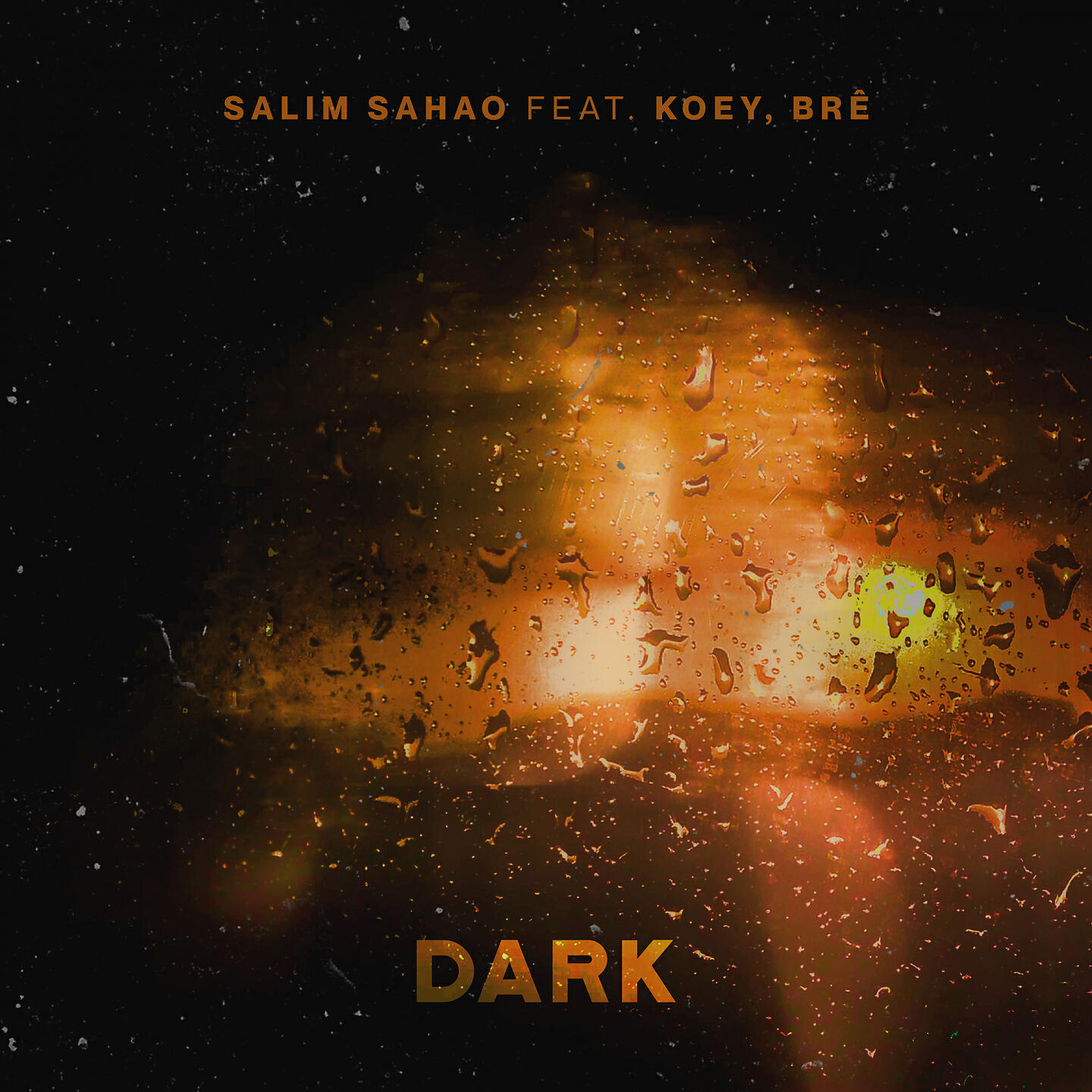 Постер альбома Dark