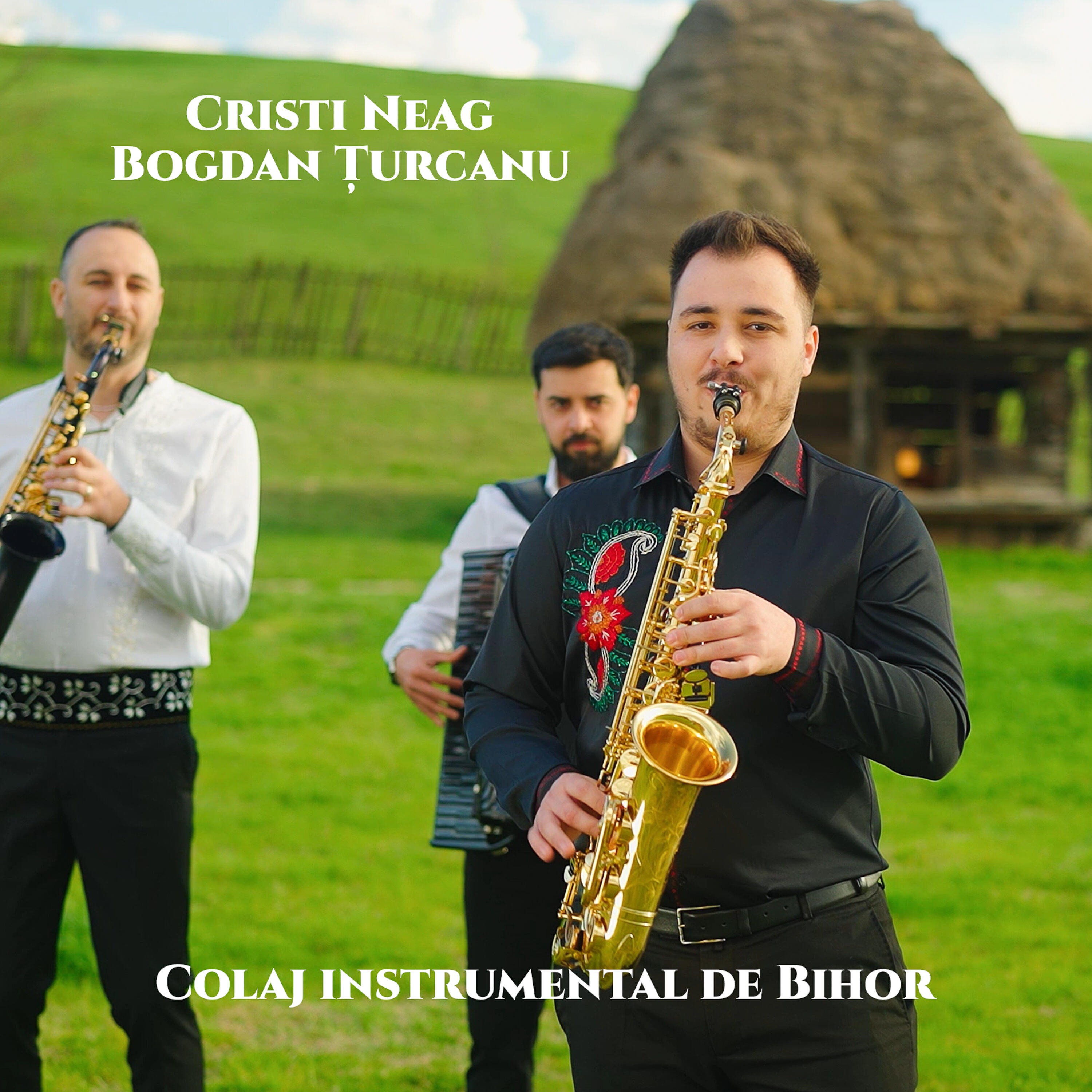 Релиз Colaj instrumental de Bihor