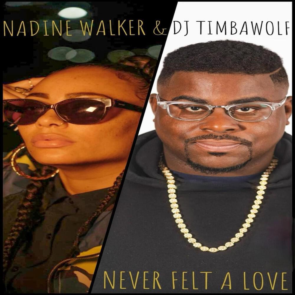Релиз Never Felt a Love