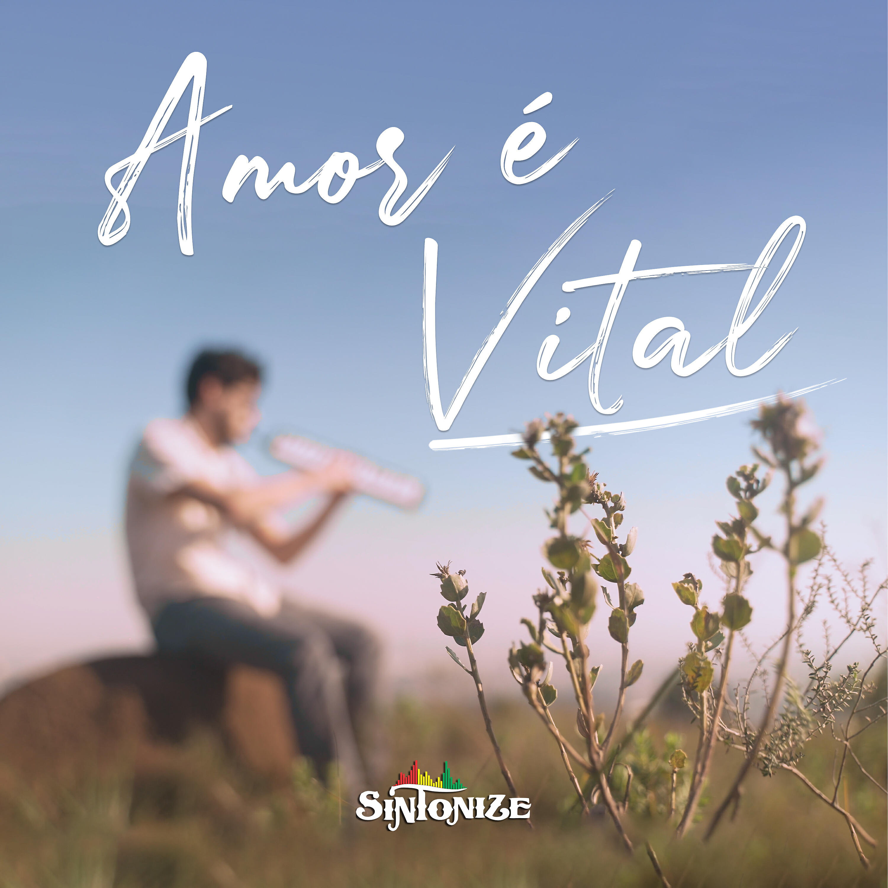 Релиз Amor É Vital