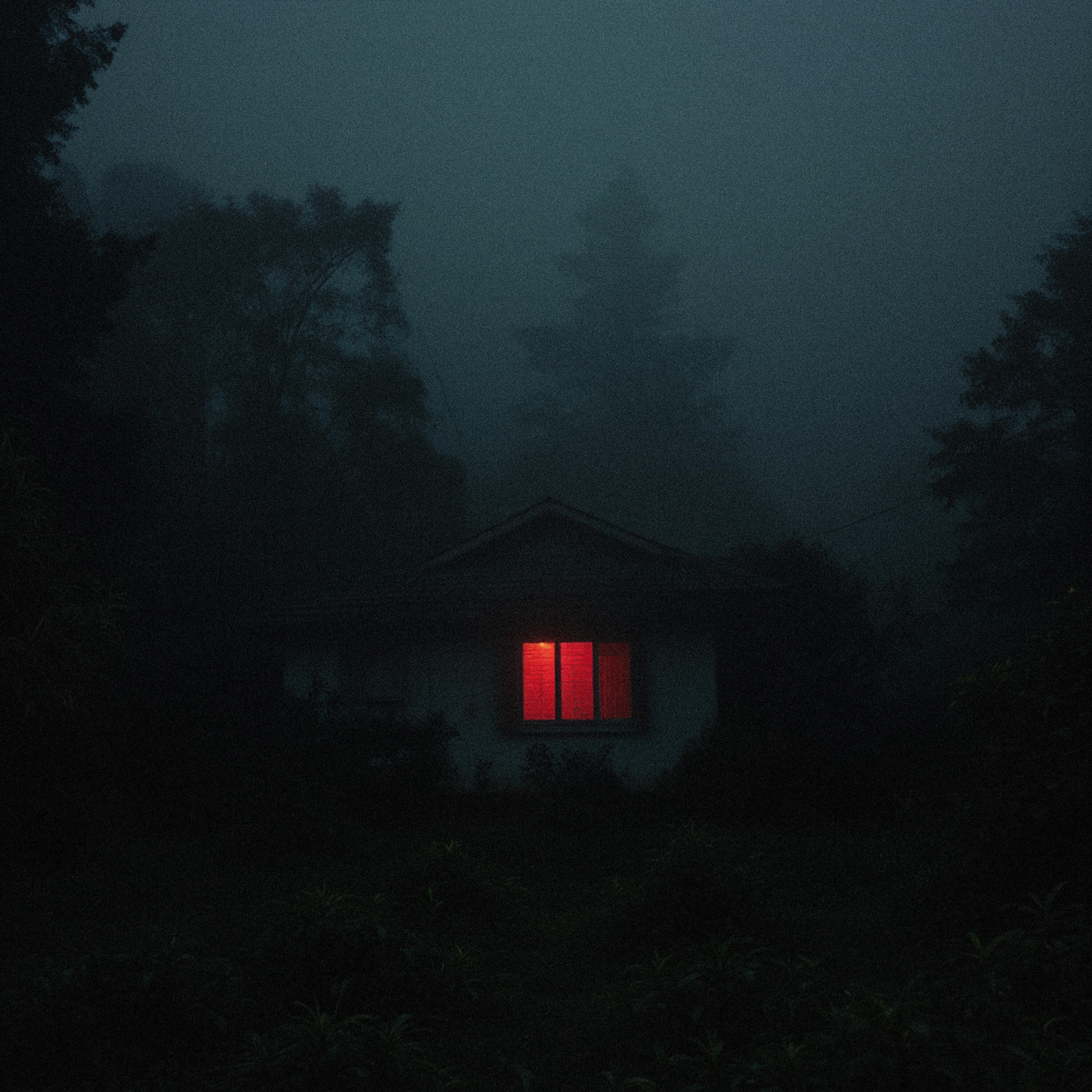 Релиз night bloom