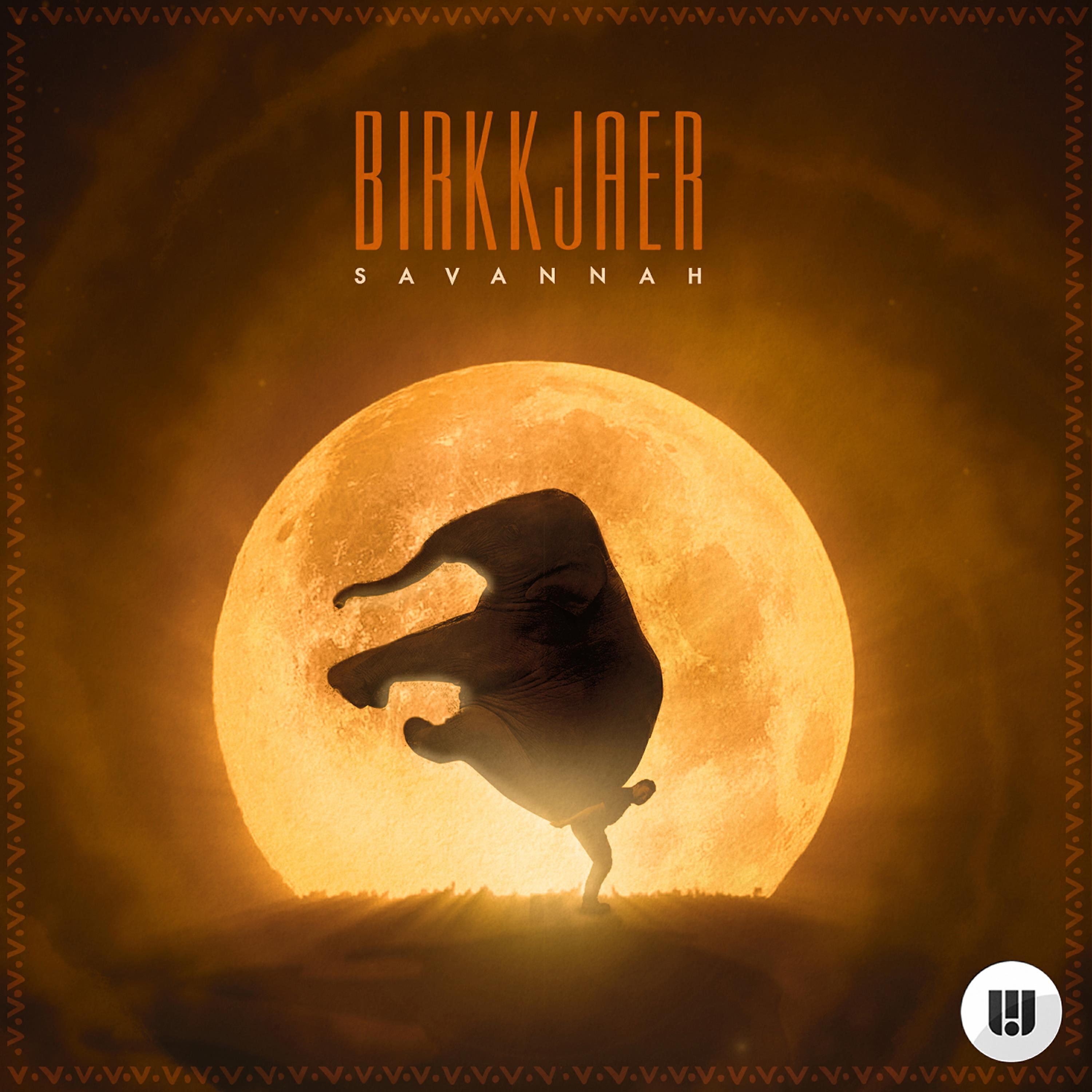 Birkkjaer