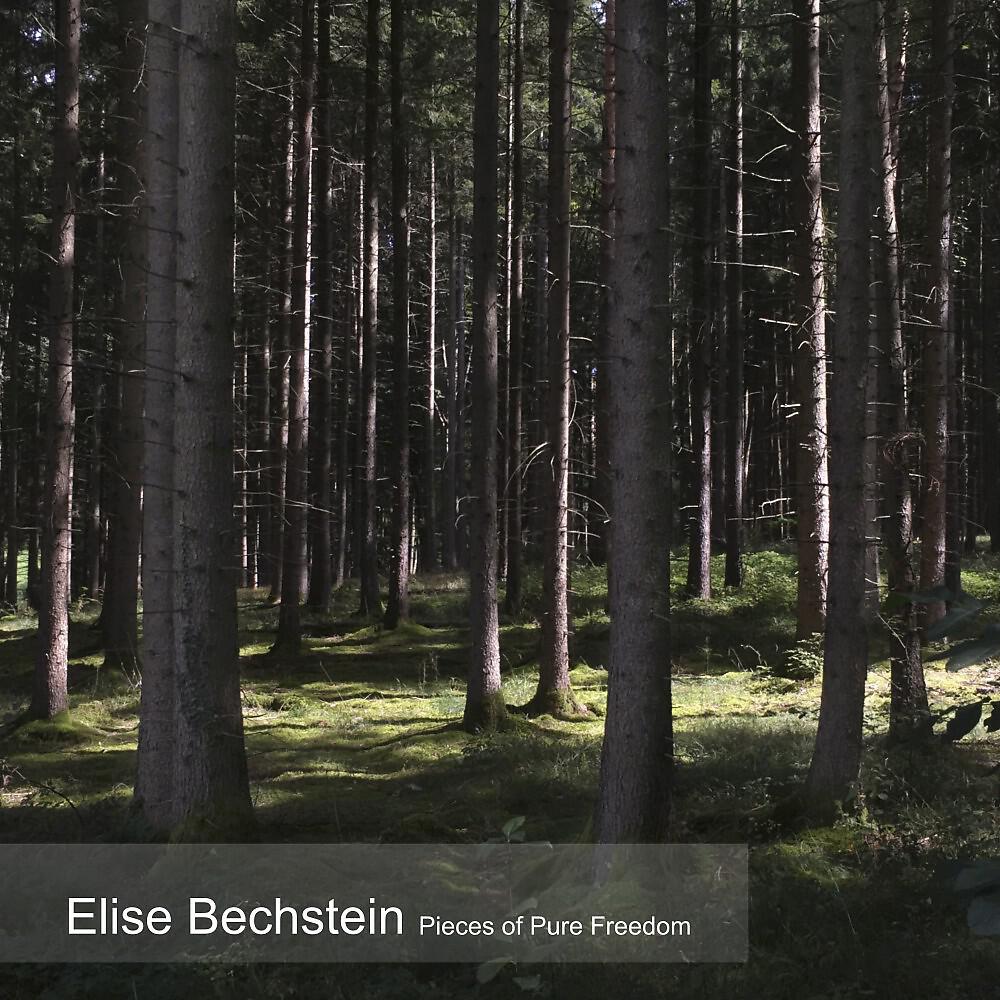 Релиз Pieces of Pure Freedom