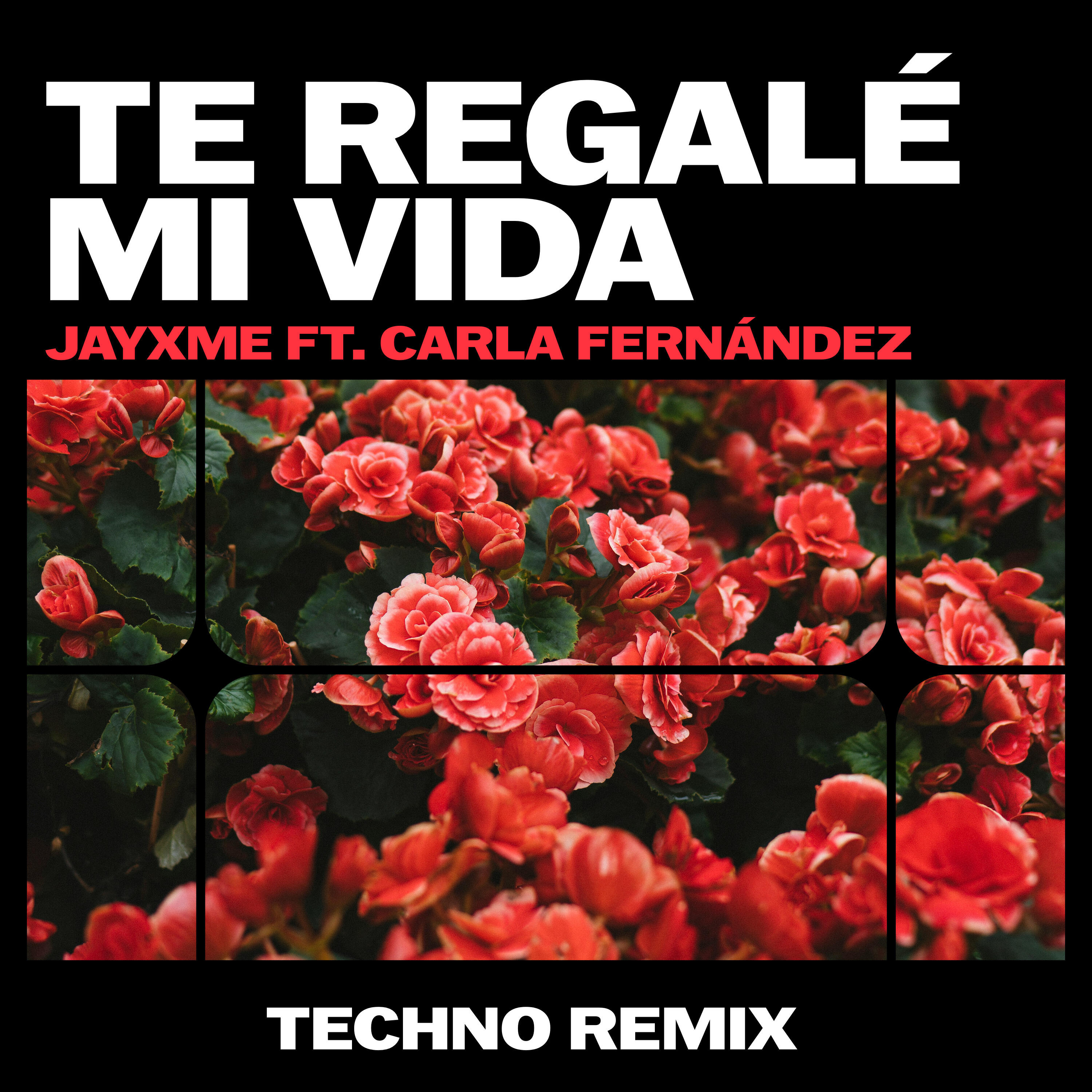 Релиз Te Regalé Mi Vida (Techno Remix)
