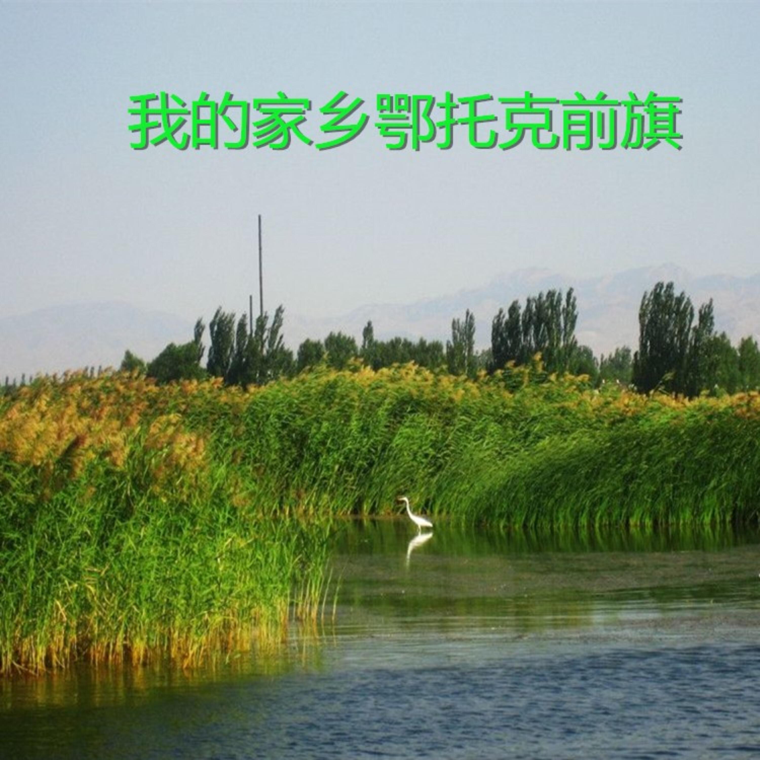 Релиз 我的家乡鄂托克前旗