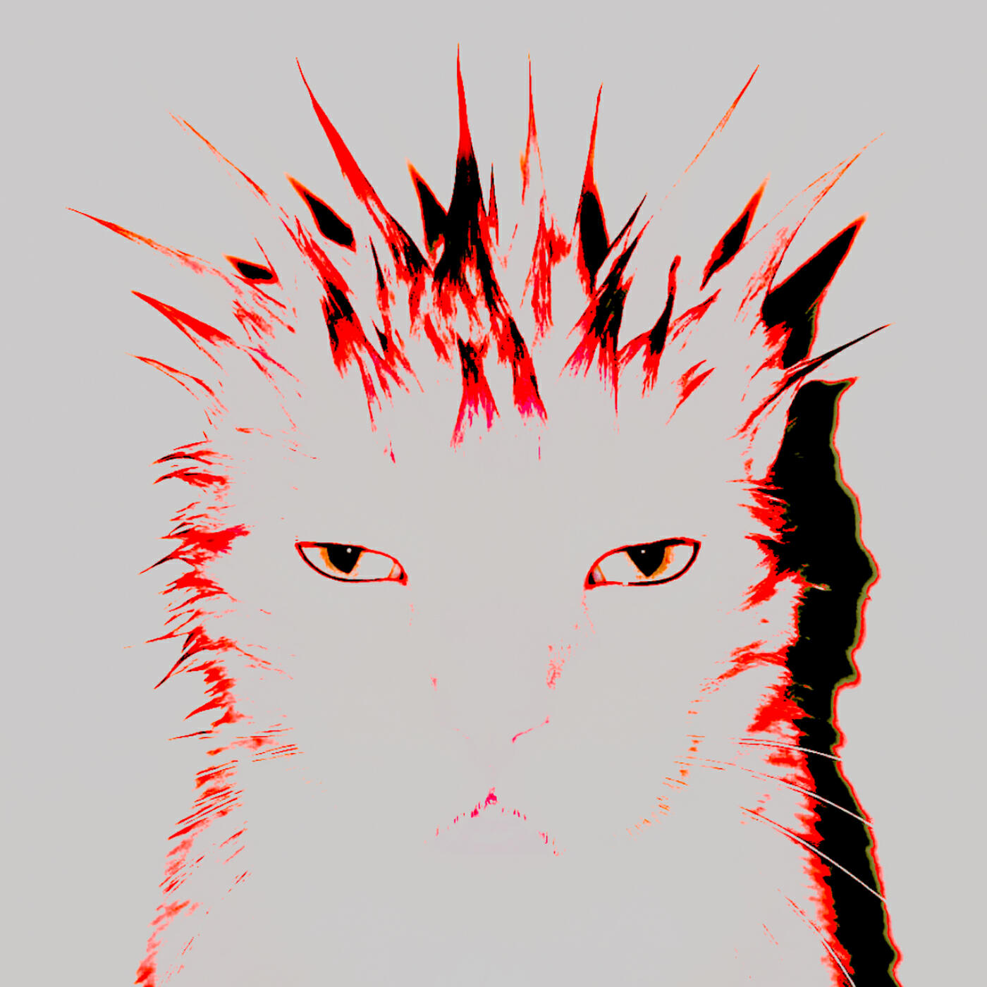 Релиз no kingdom no rules