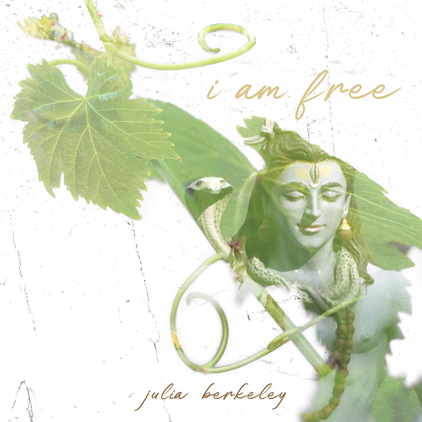 Релиз I Am Free