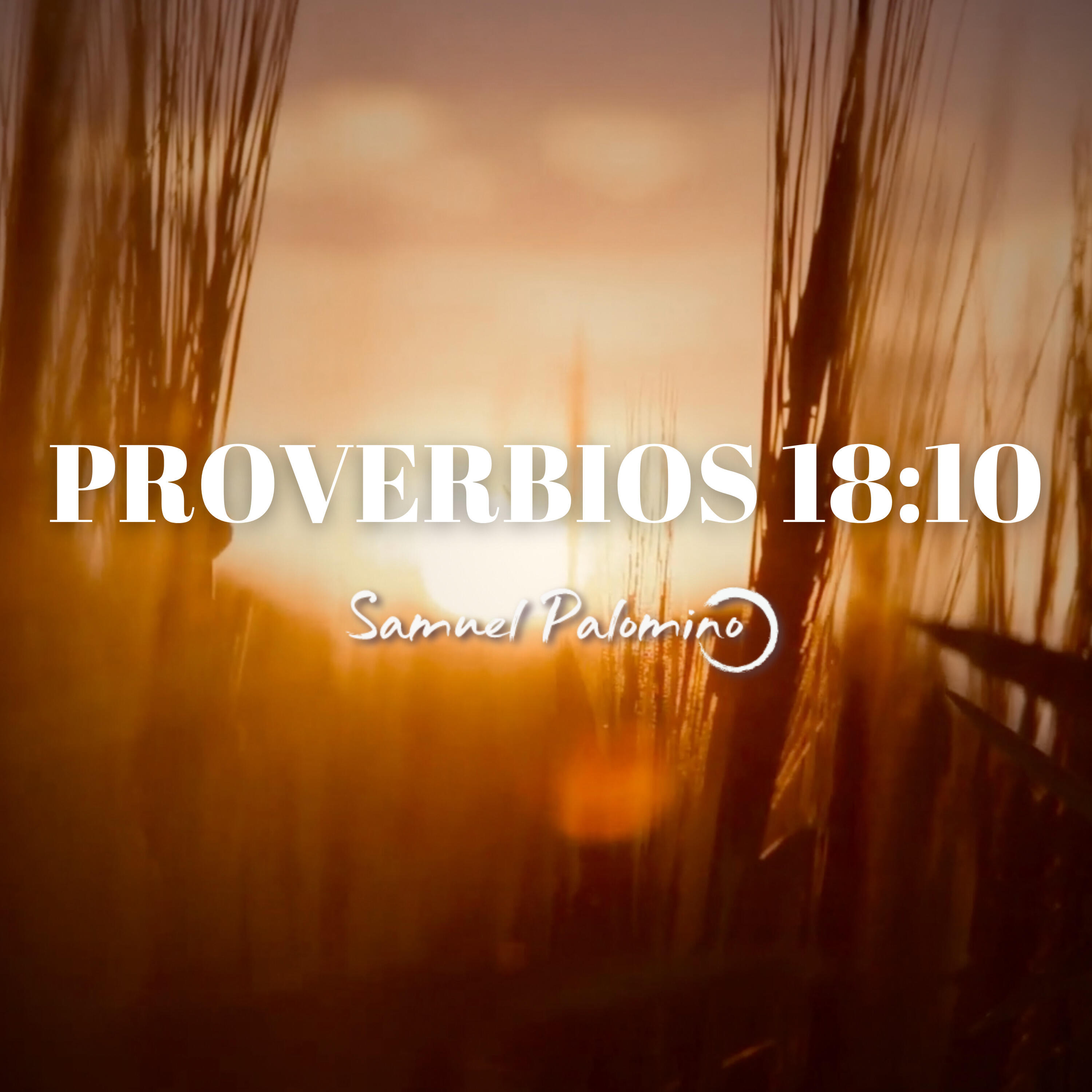 Релиз Proverbios 18:10