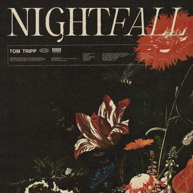 Релиз Nightfall