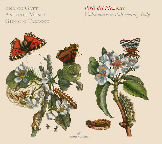 Релиз Perle del Piemonte: Violin Music in 18th-Century Italy