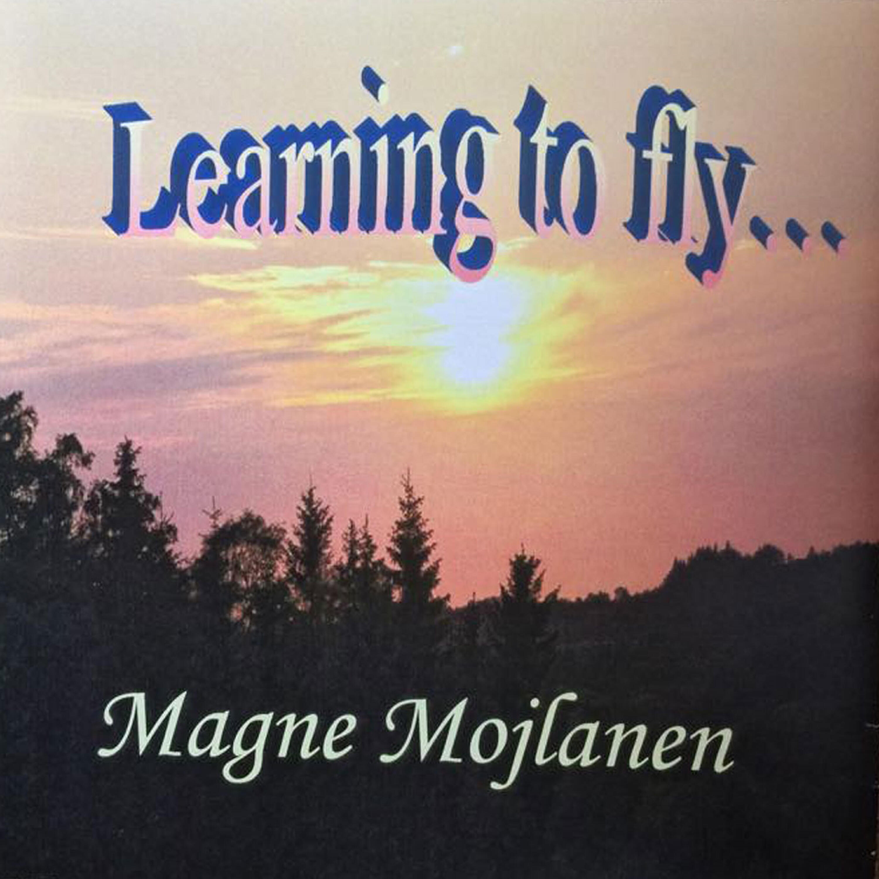 Релиз Learning to Fly