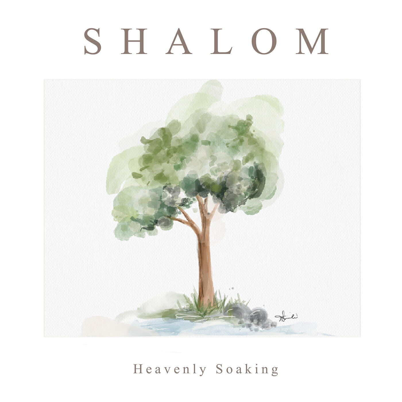 Релиз Shalom (Instrumental Worship)
