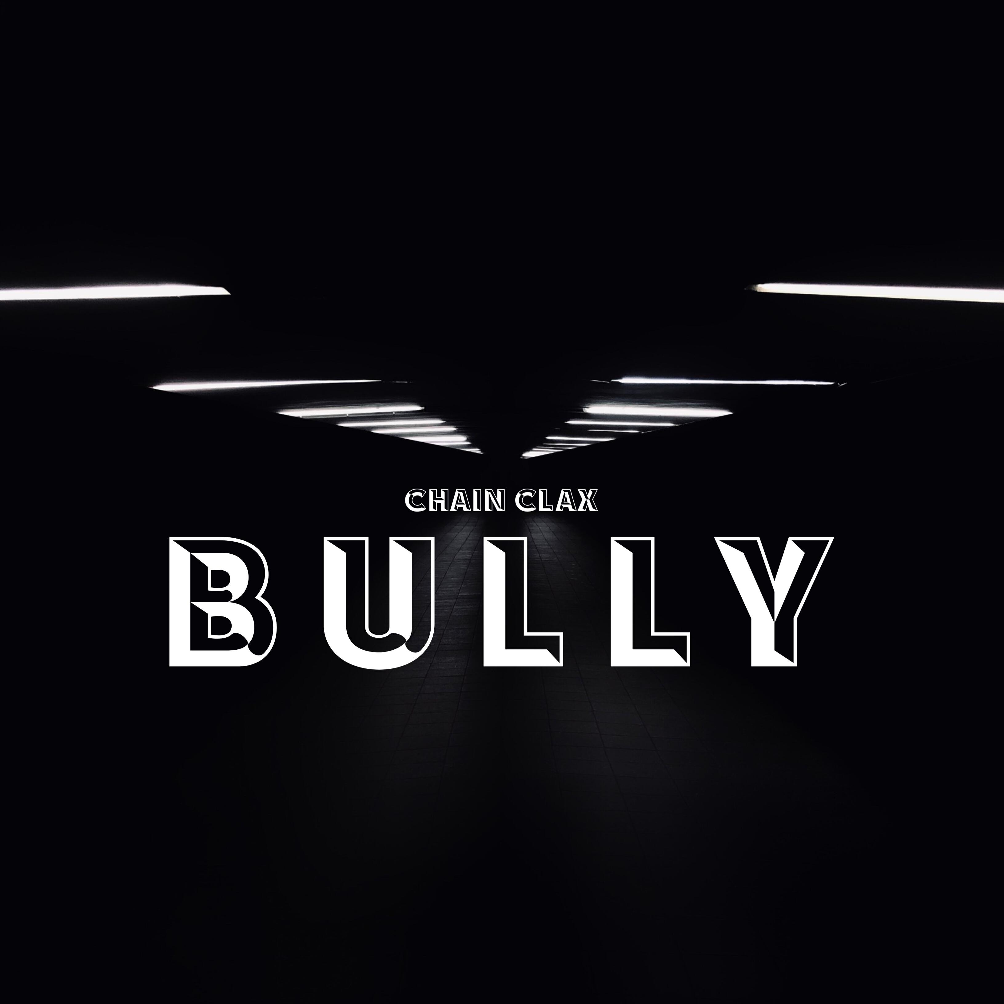 Релиз Bully