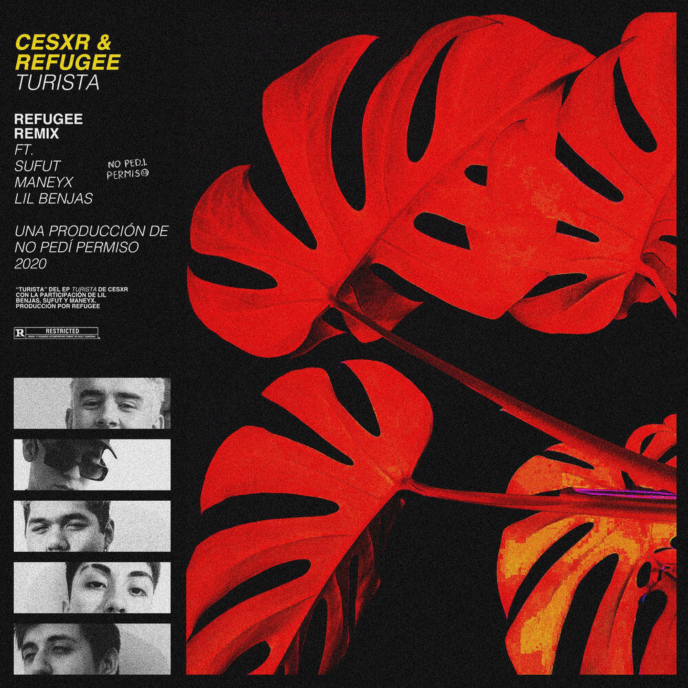 Cesxr