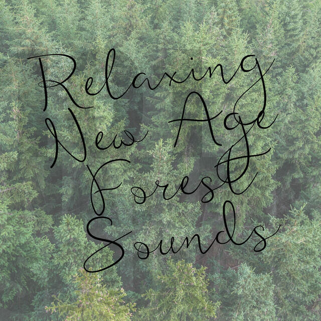 Релиз Relaxing New Age Music with Forest Sounds