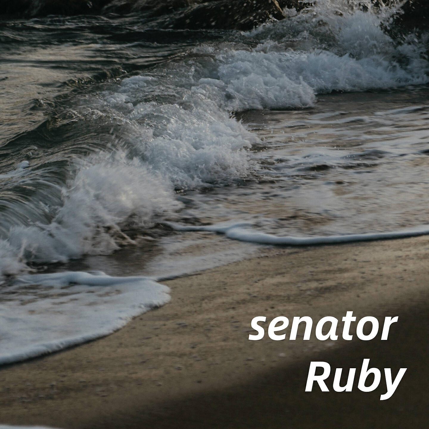 Релиз senator