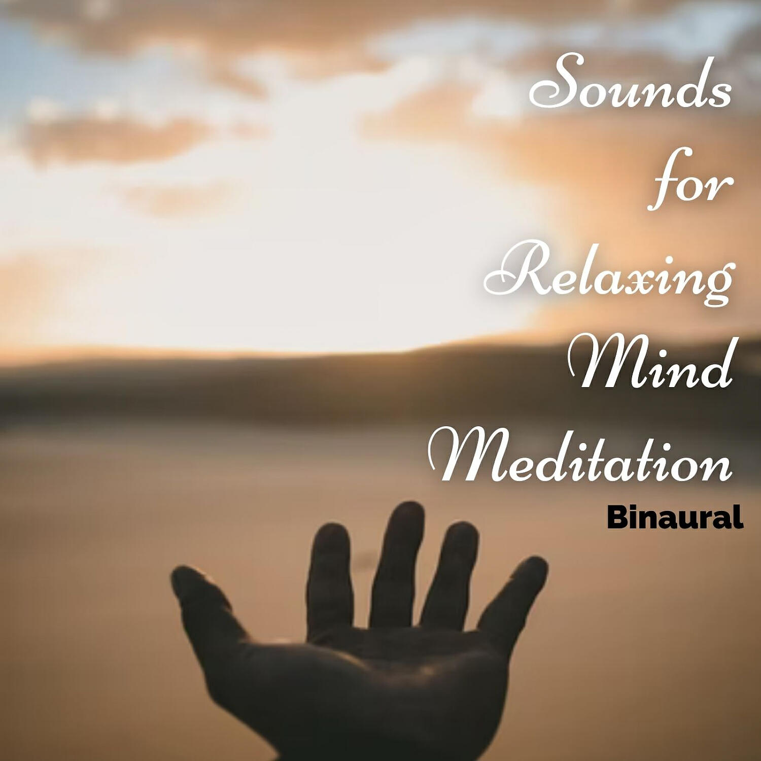 Релиз Binaural: Sounds for Relaxing Mind Meditation