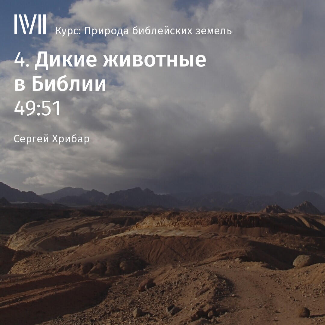 Книга "Дикие животные в Библии"