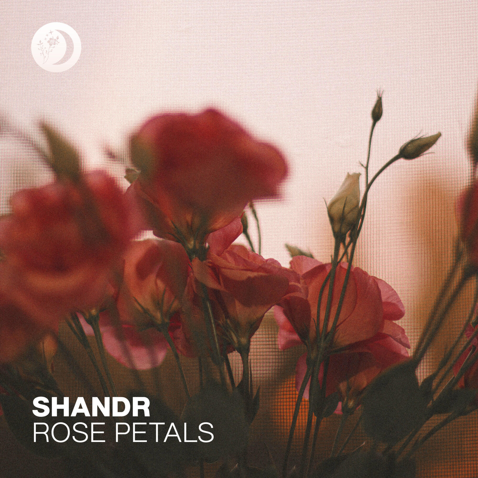 Релиз Rose Petals
