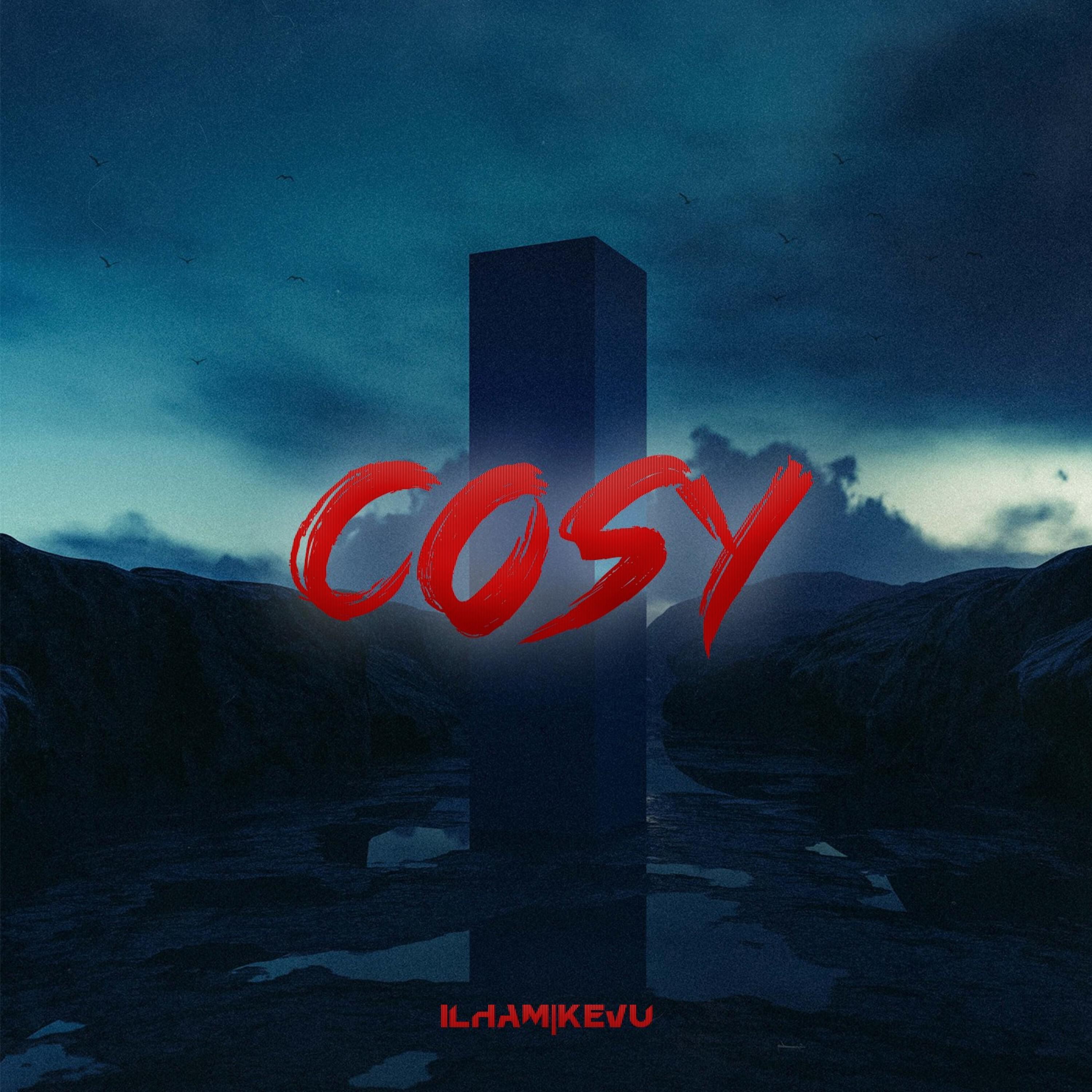 Релиз Cosy