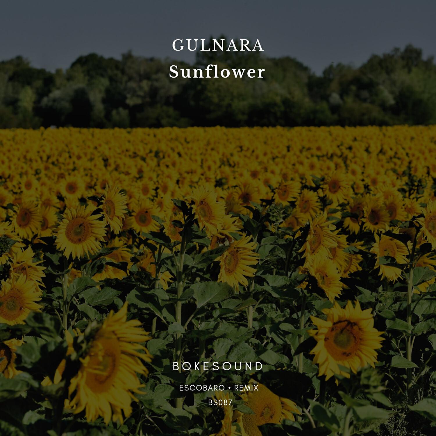 Gulnara