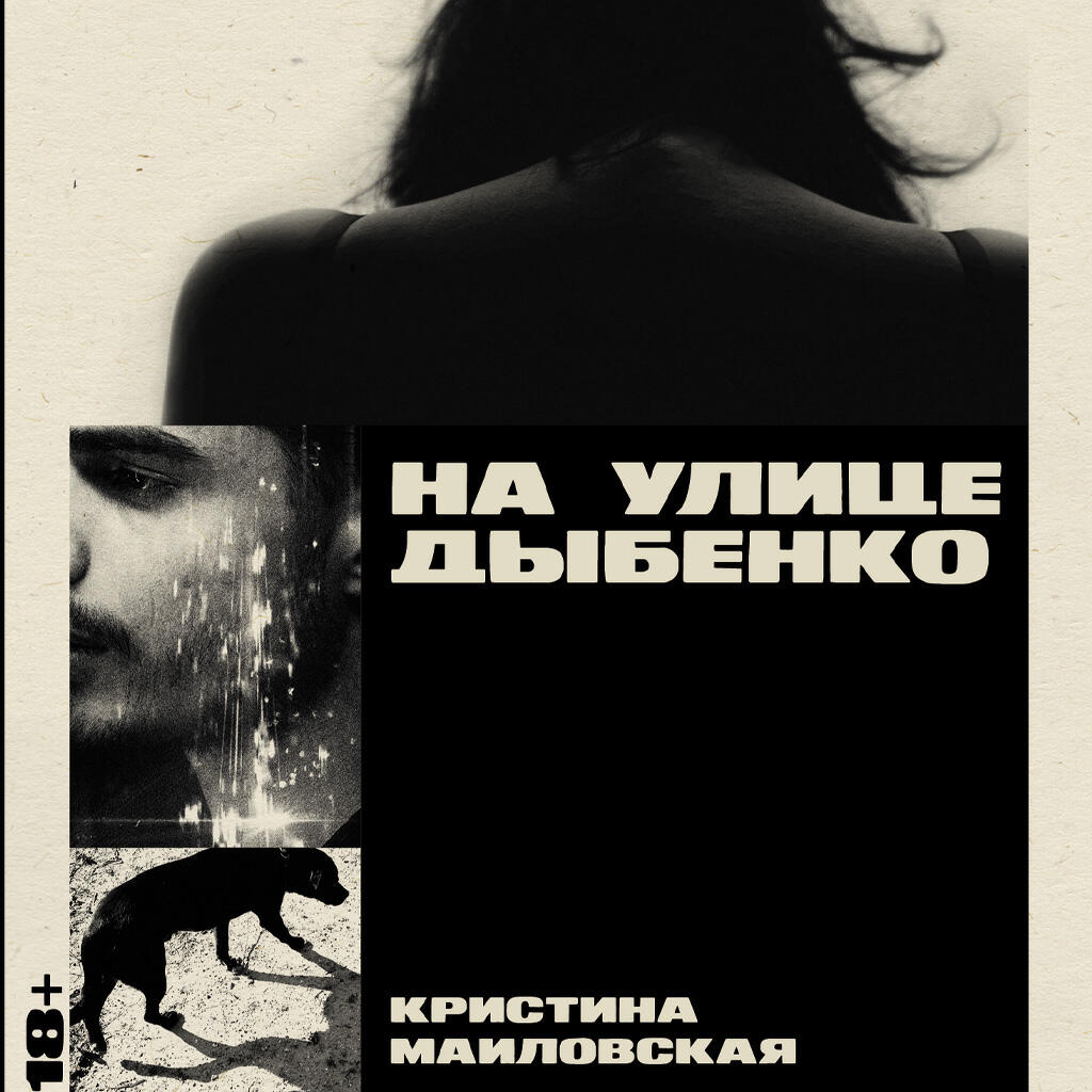 Книга На улице Дыбенко