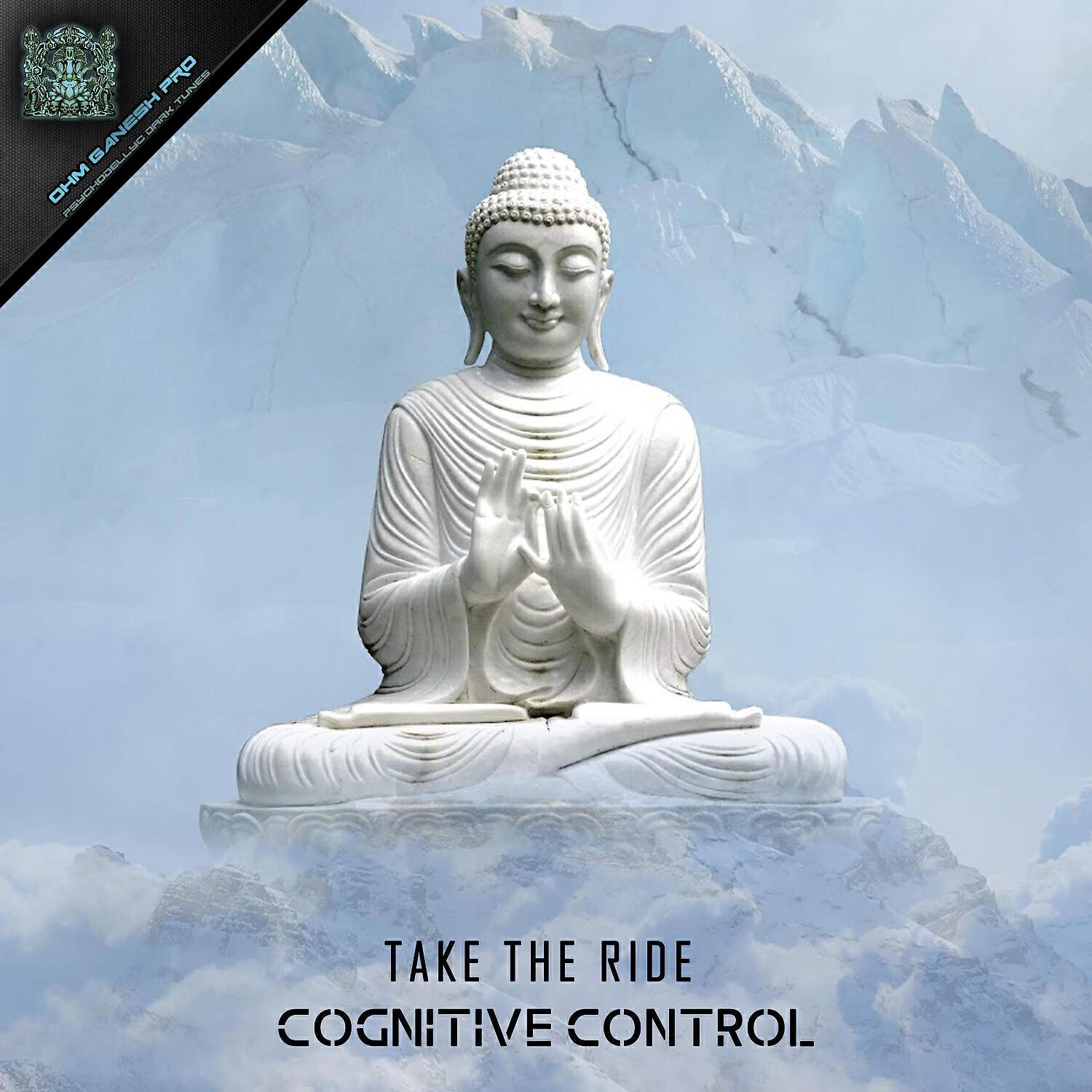 Cognitive Control