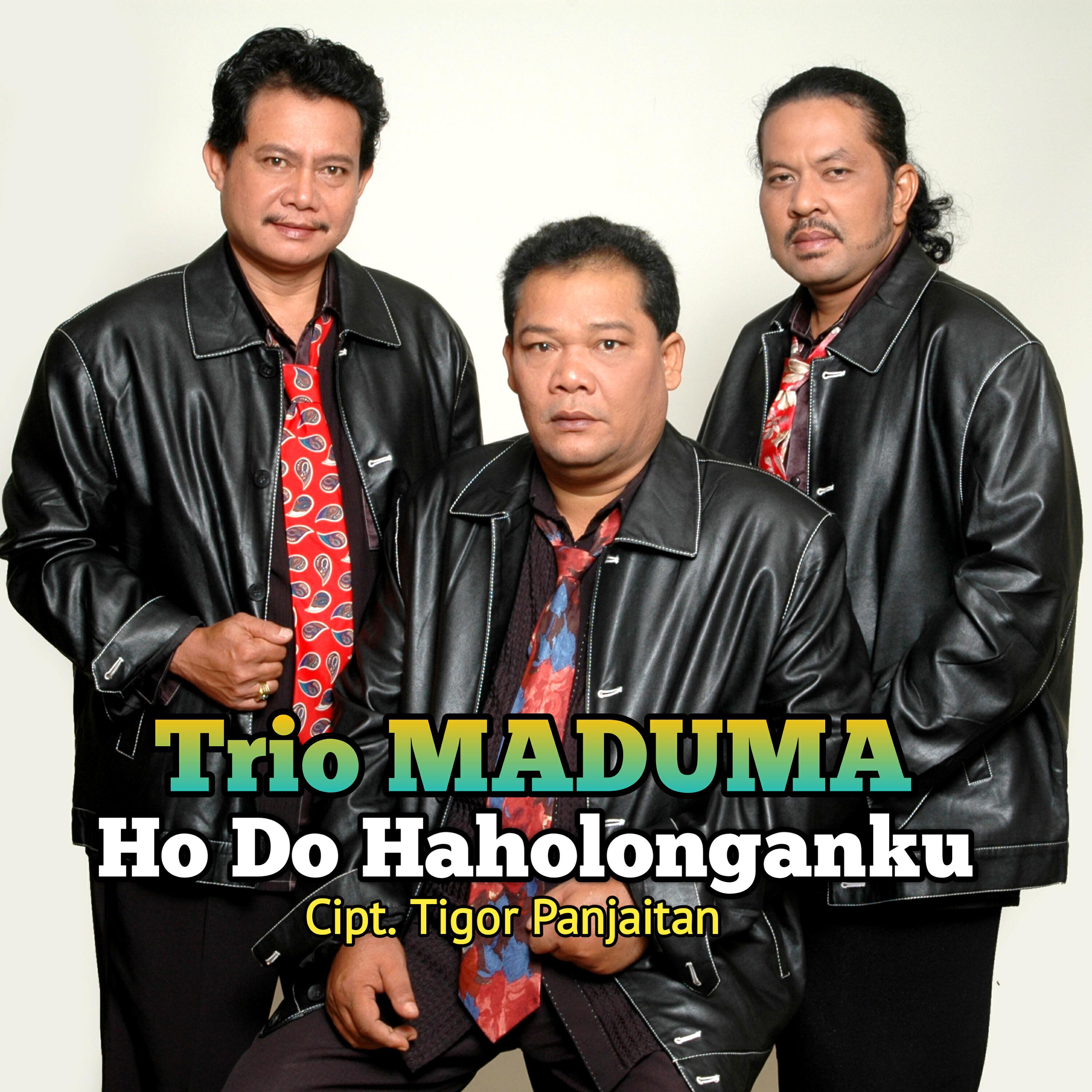 Релиз HO DO HAHOLONGANKU