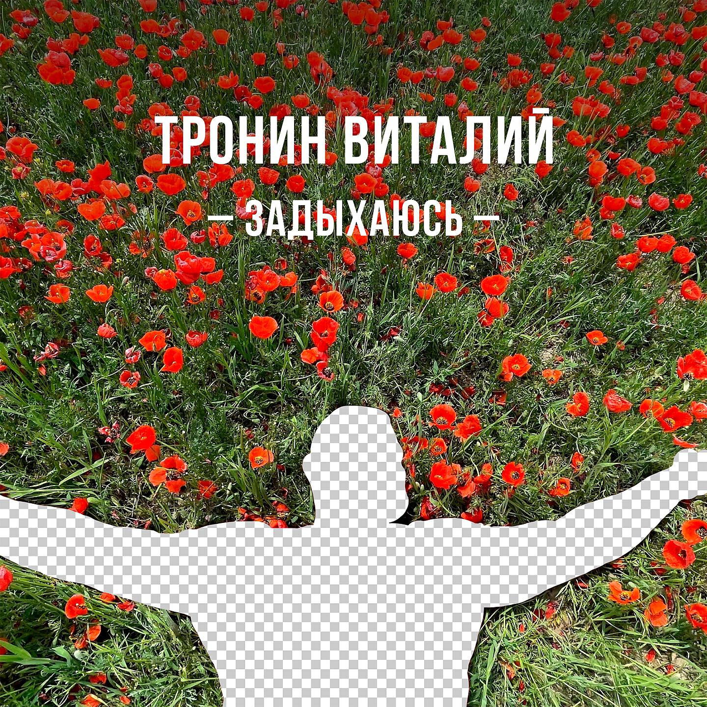 Тронин Виталий