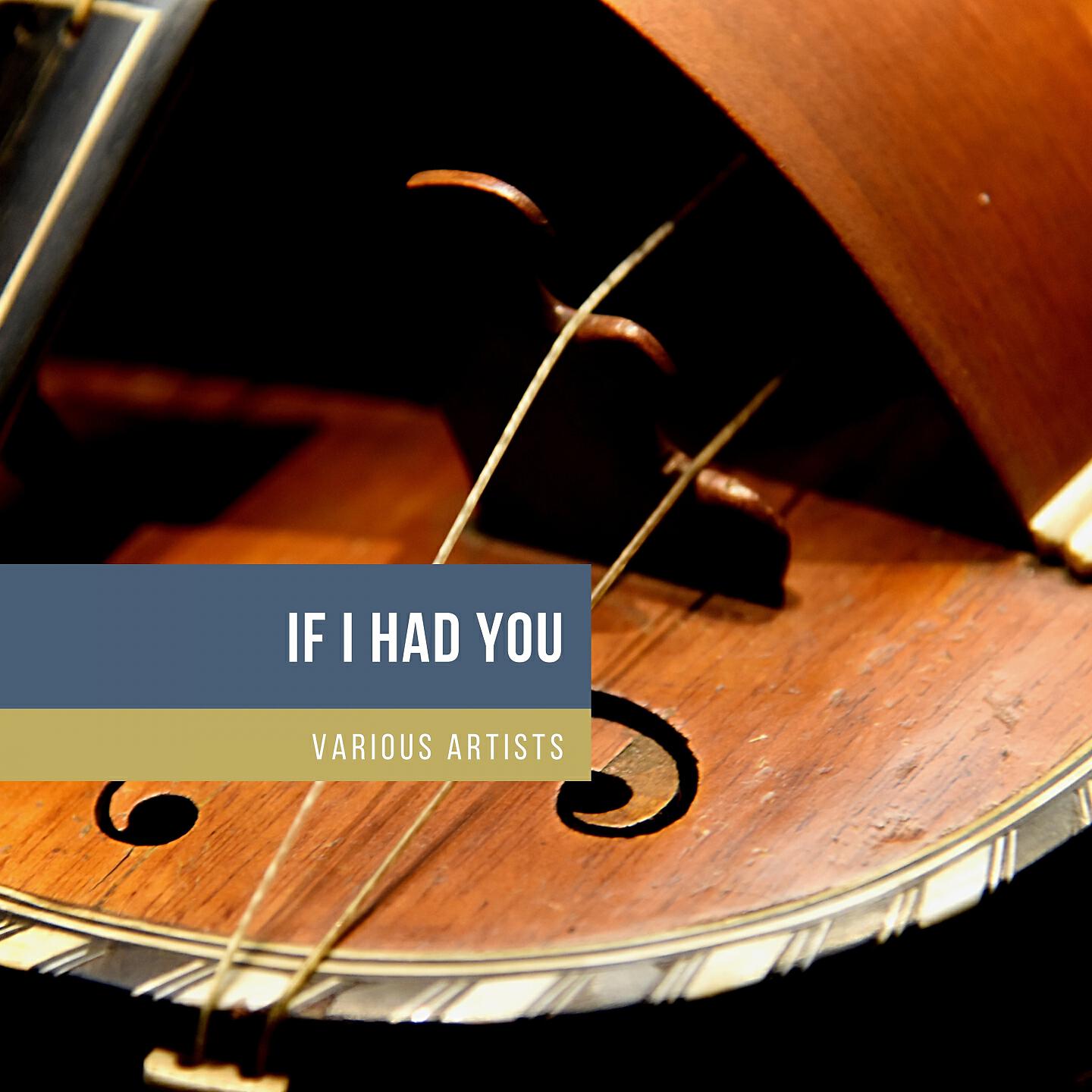 Релиз If I Had You
