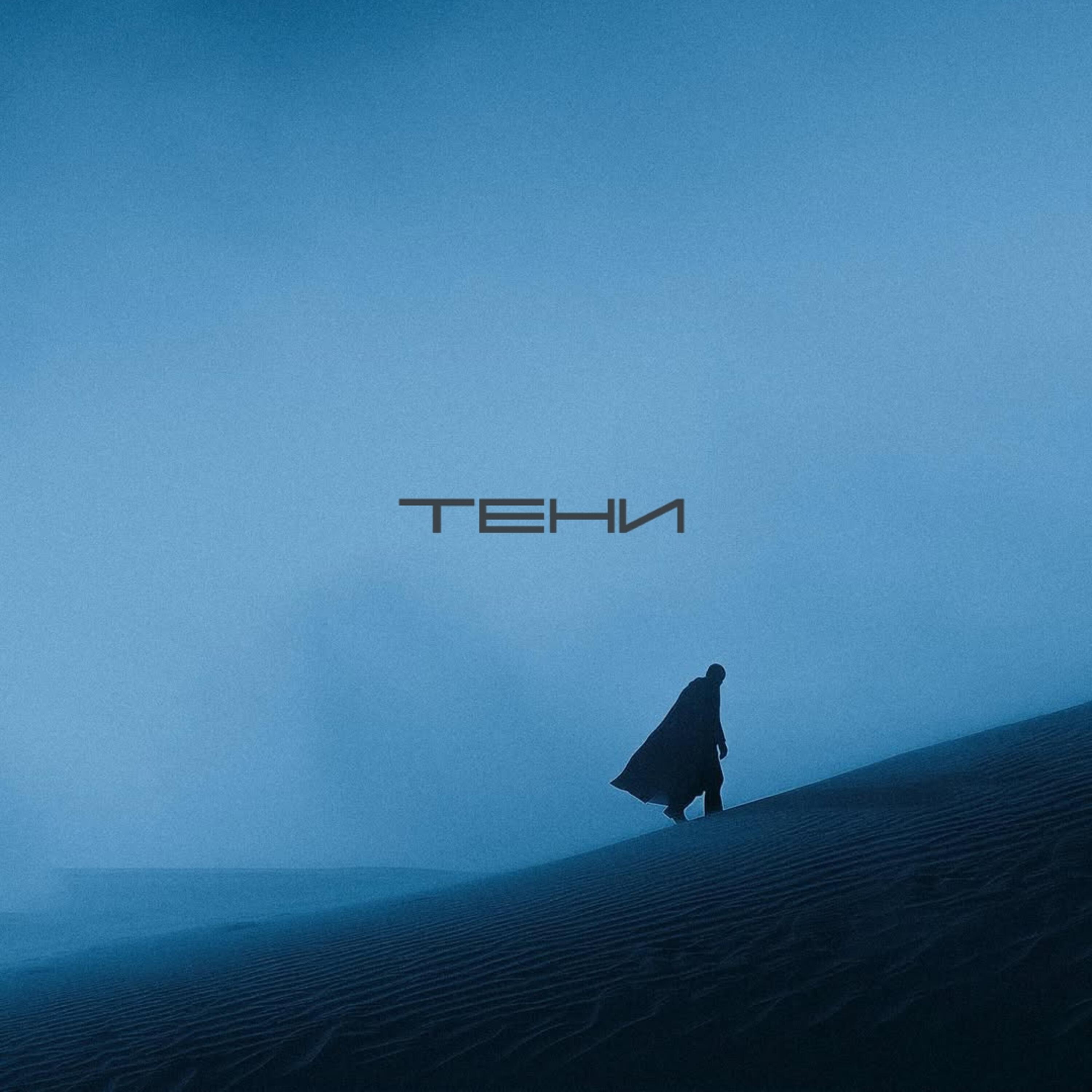 Релиз Тени
