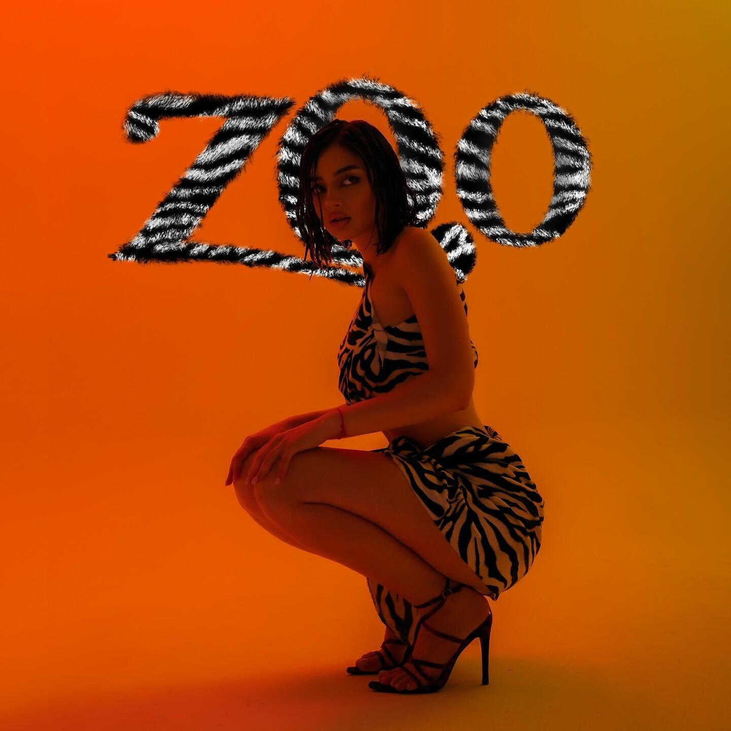 Релиз Zoo