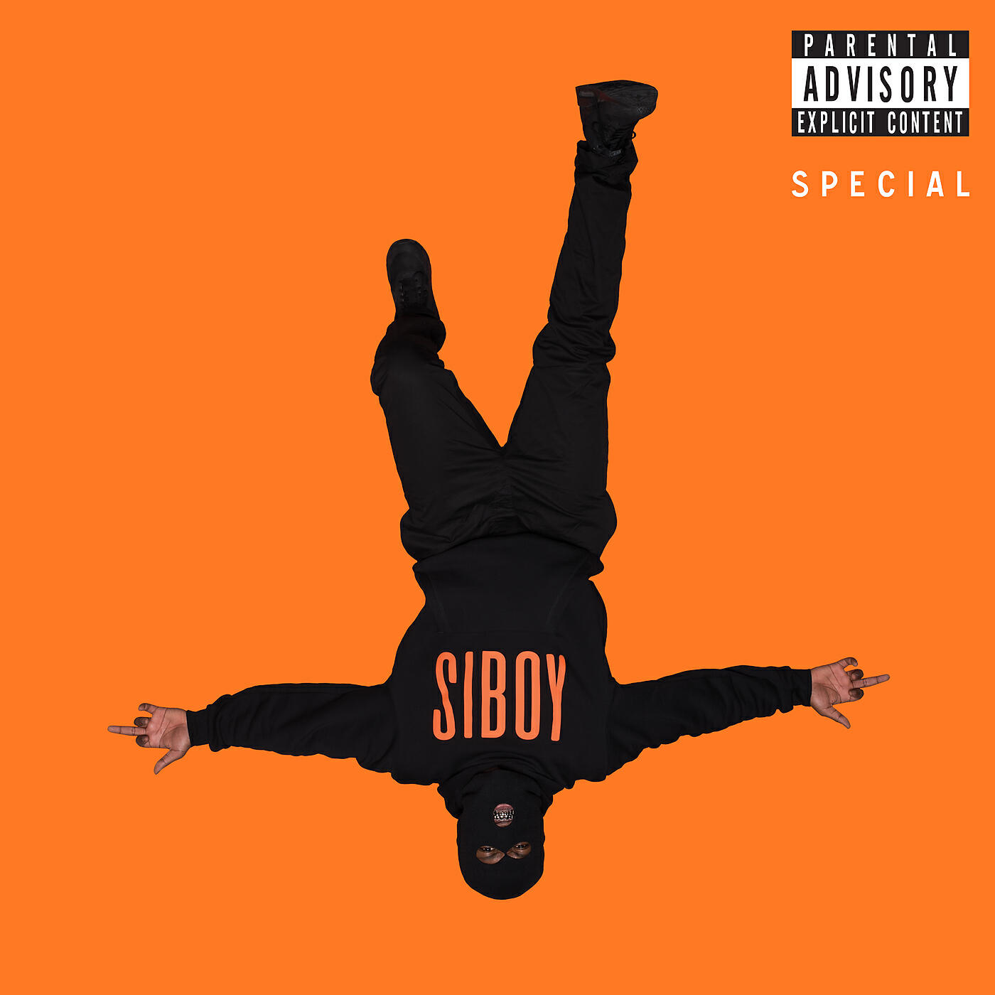 Постер альбома Special