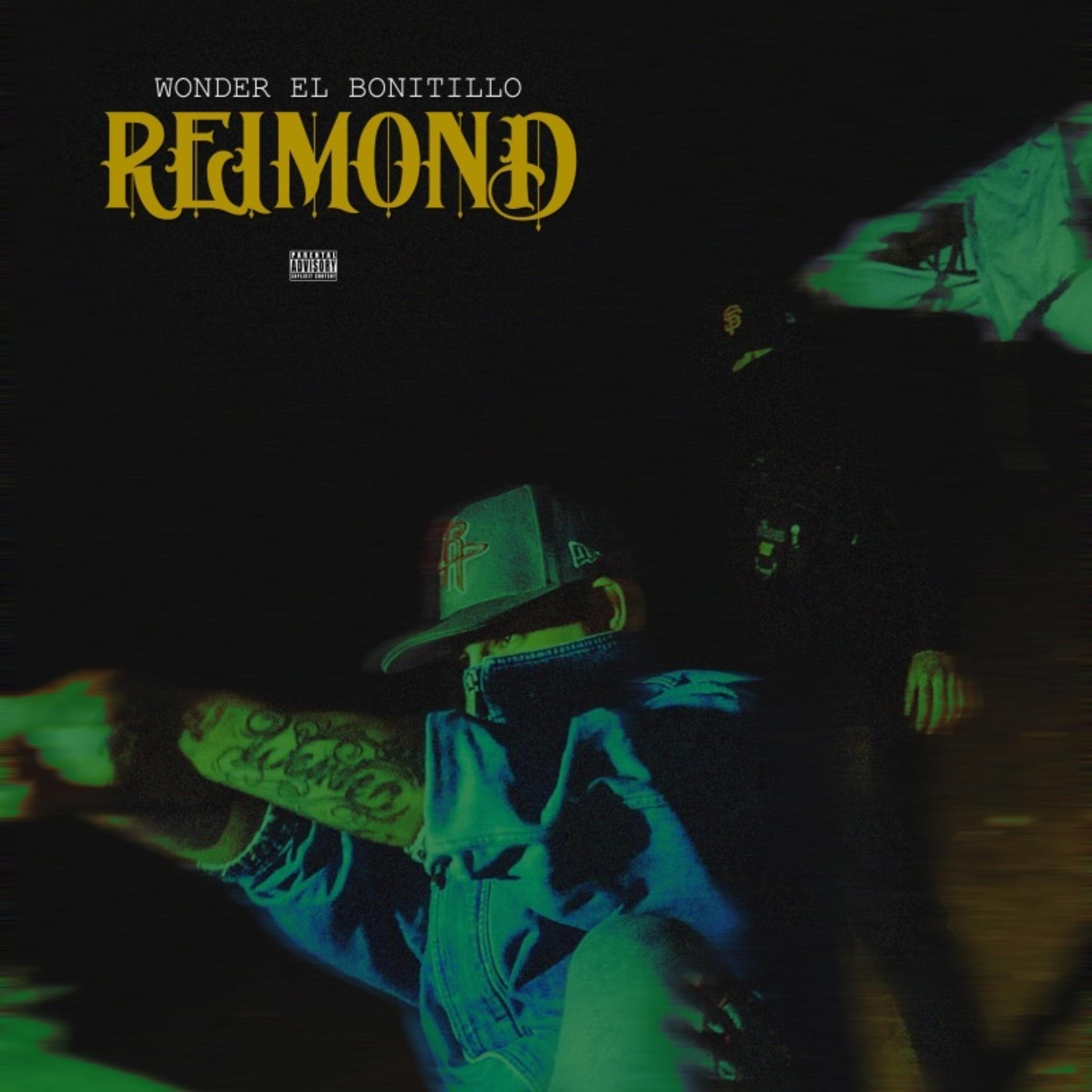 Релиз REIMOND