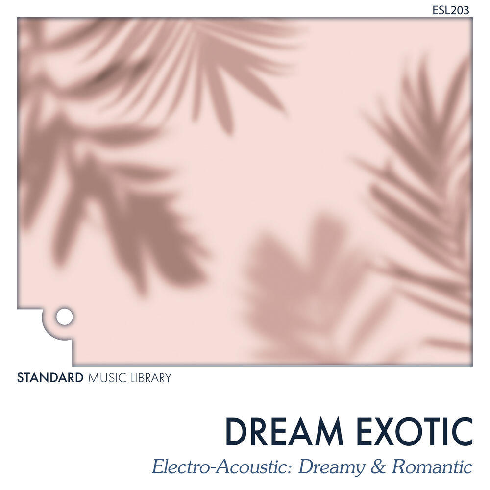 Релиз Dream Exotic