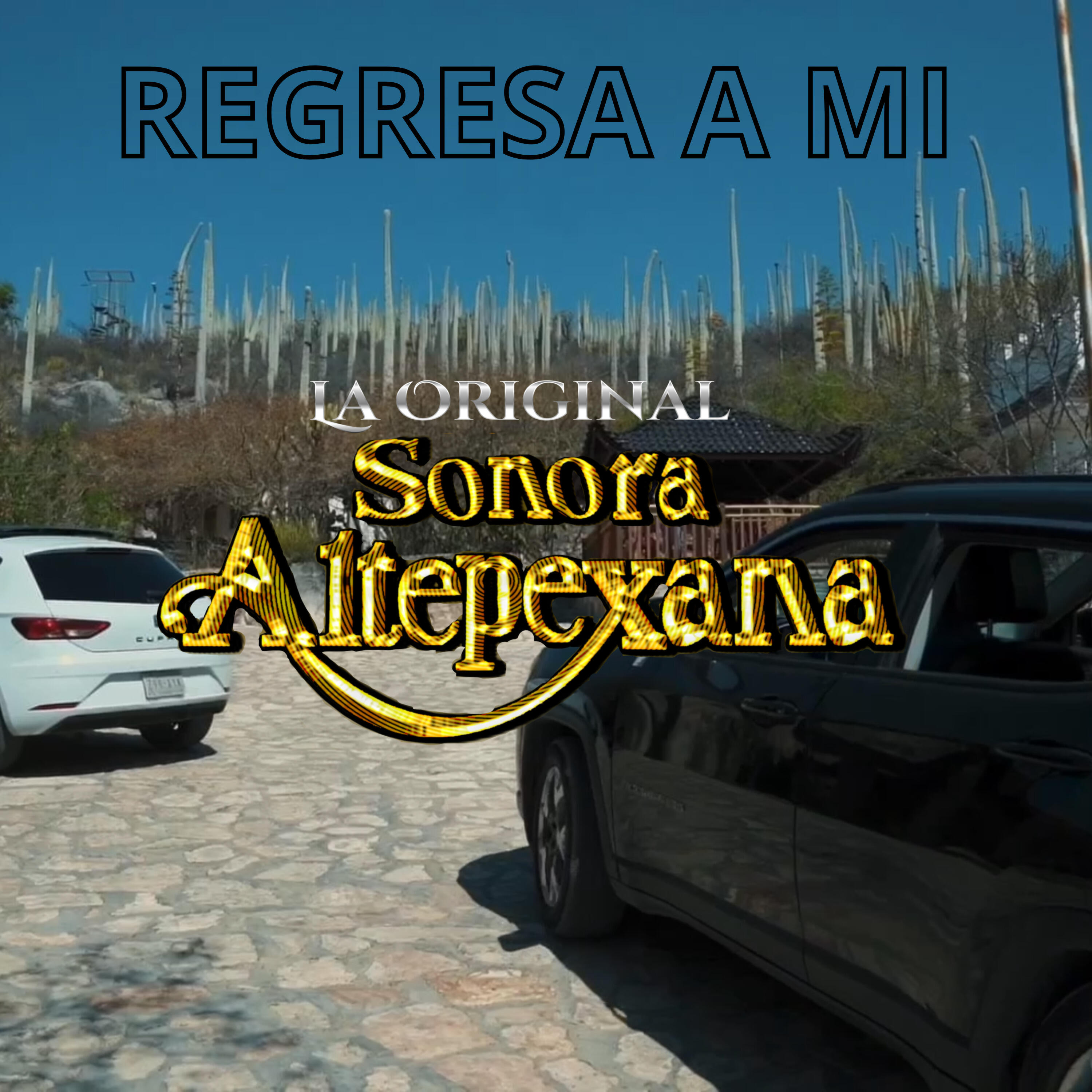Релиз Regresa a Mi