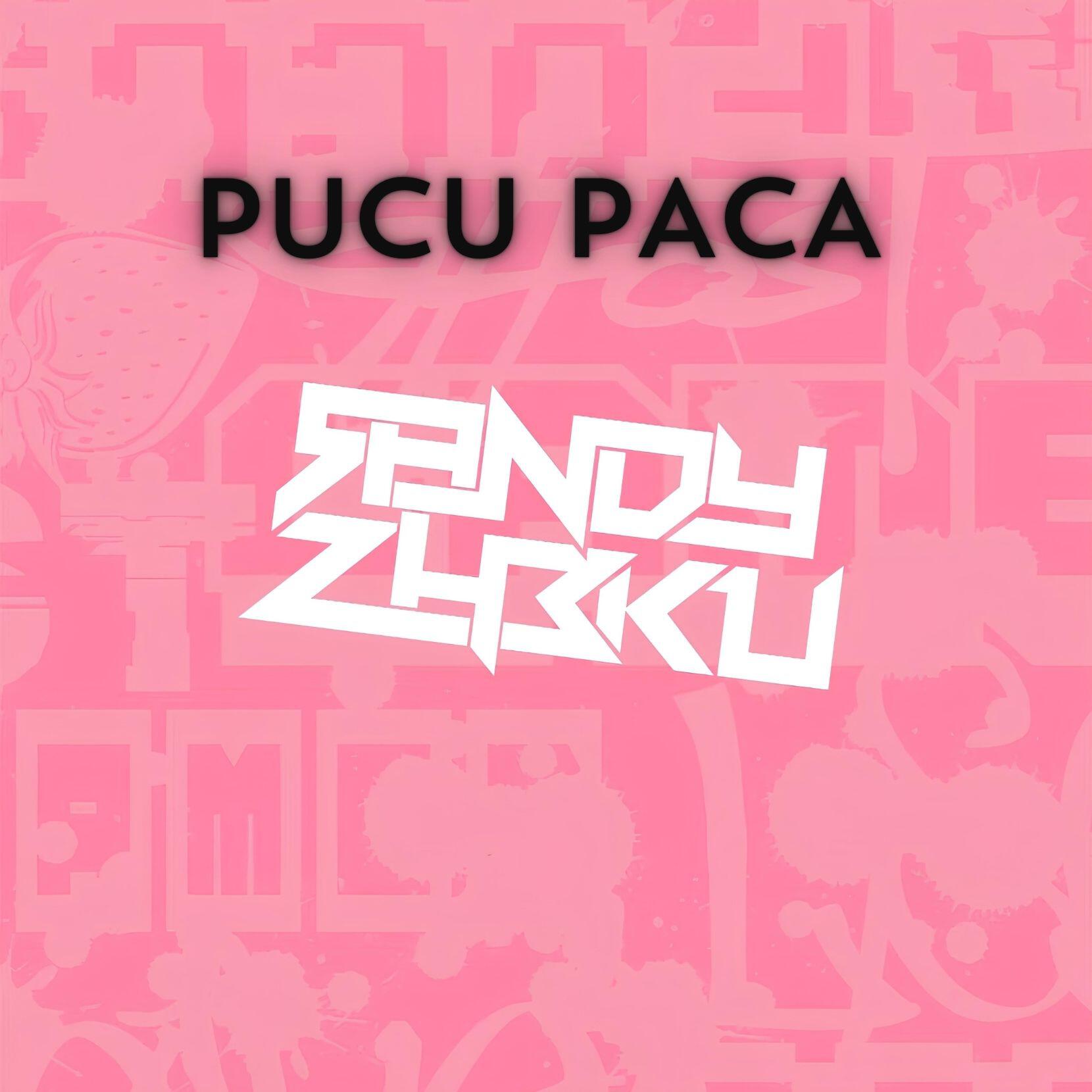 Релиз PUCU PACA