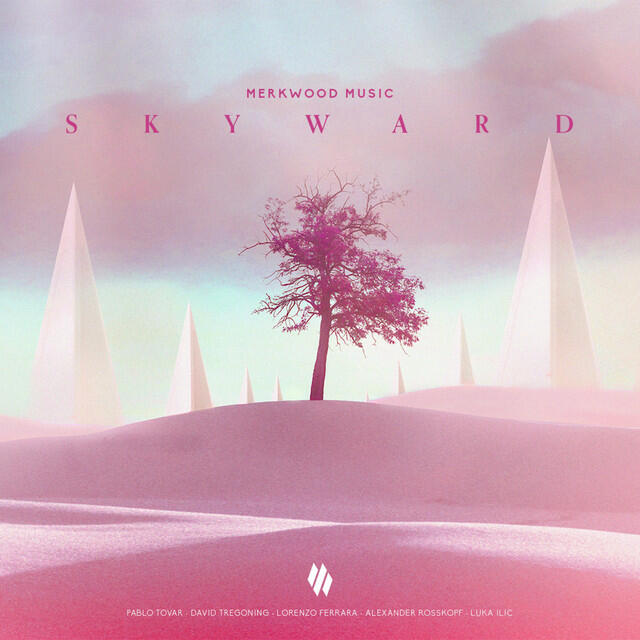 Релиз Skyward