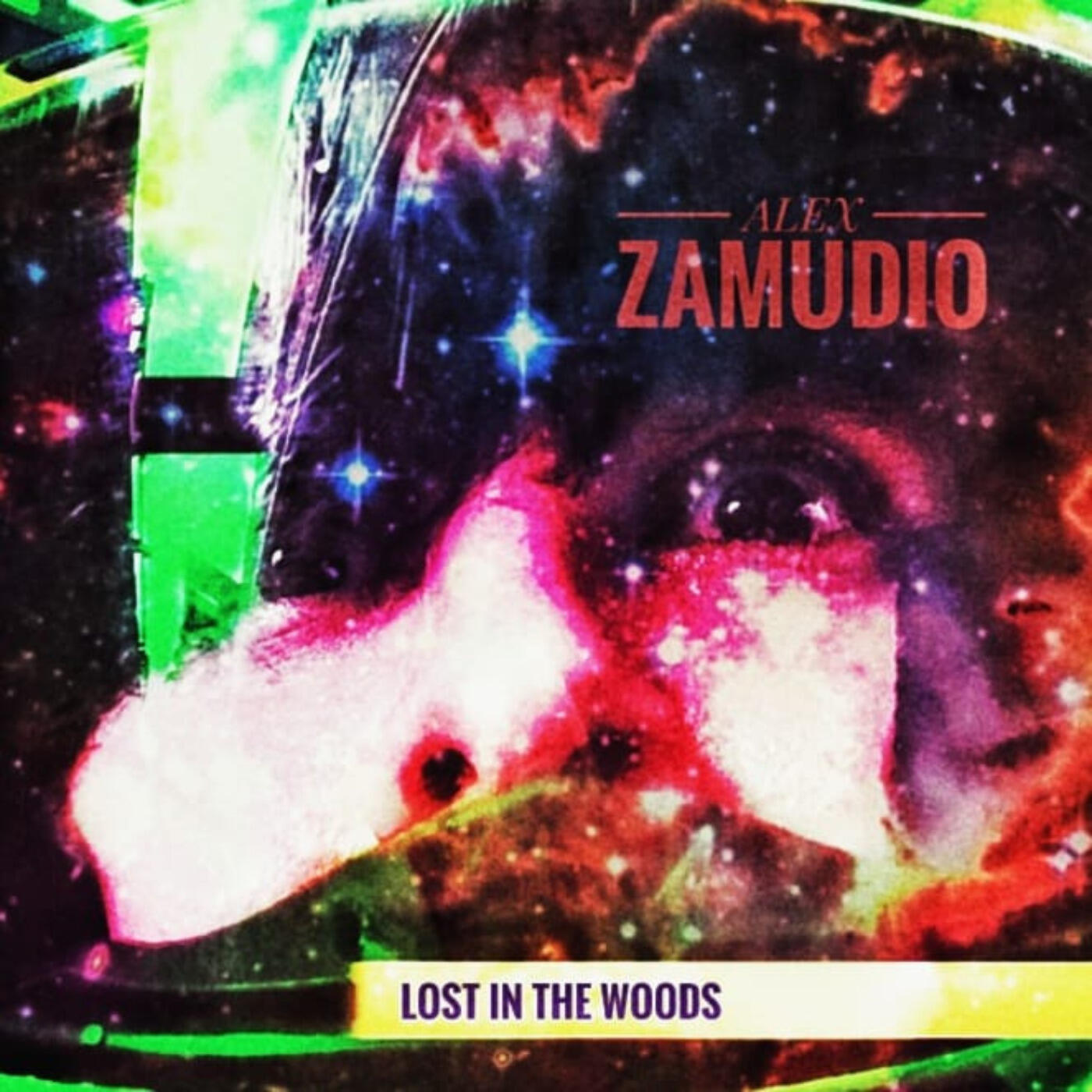 Релиз Lost in the Woods