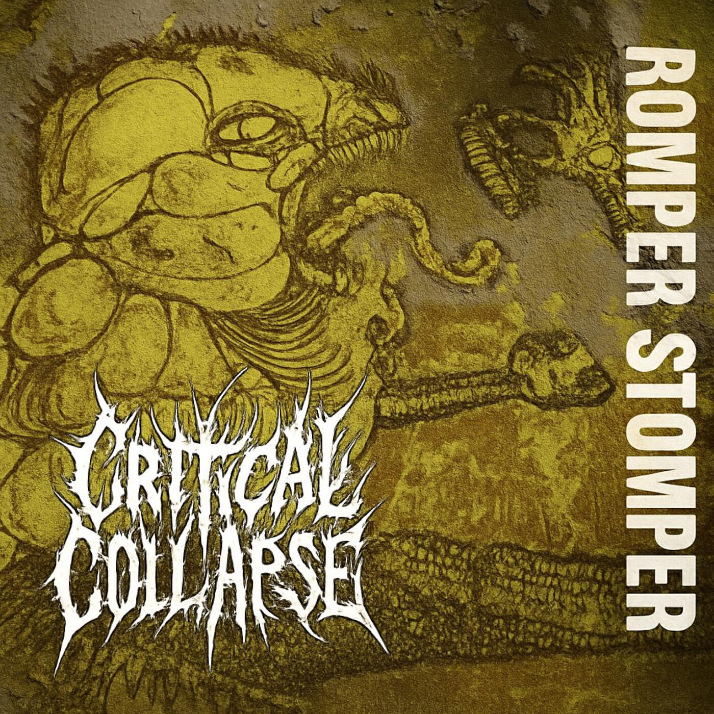 Critical Collapse
