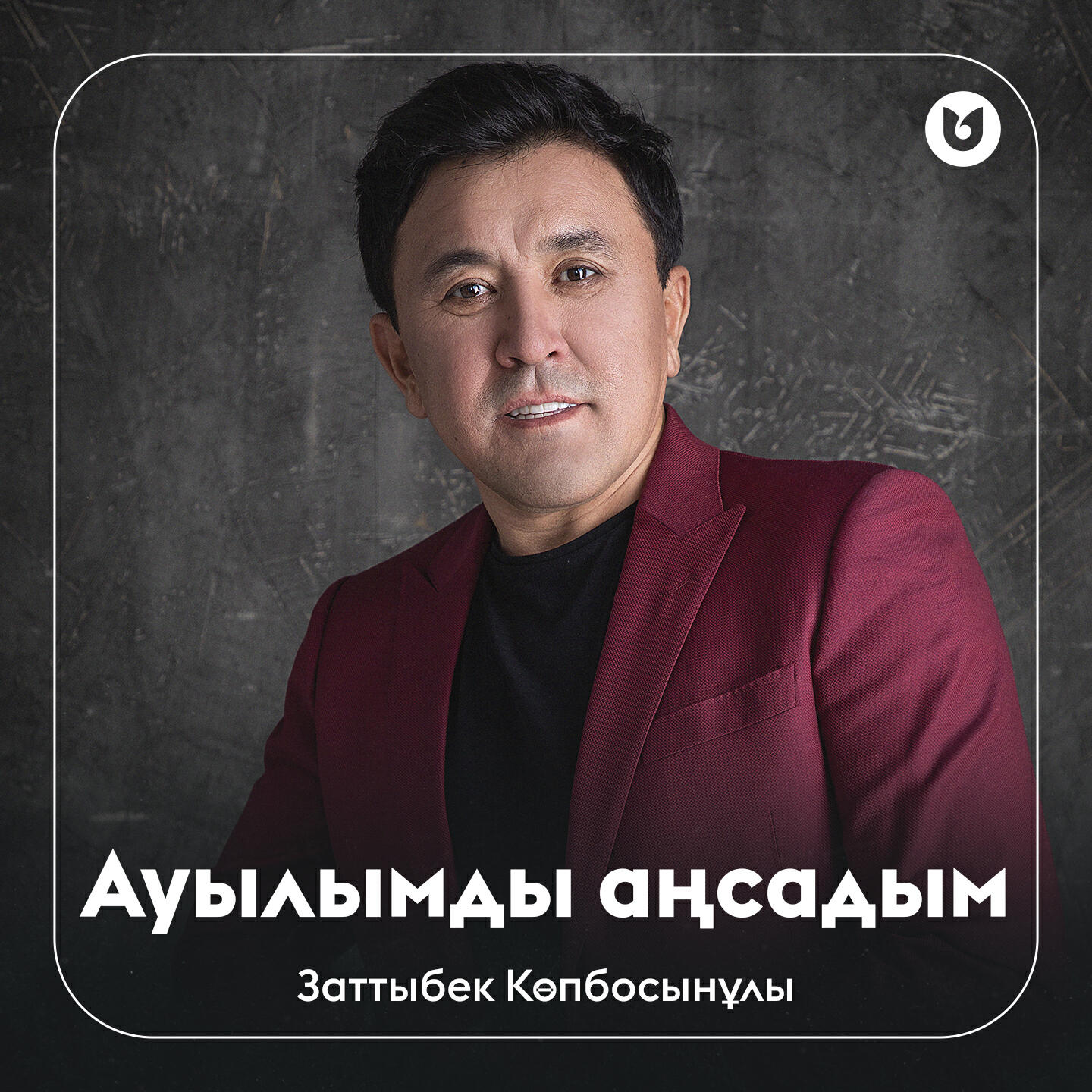 Постер альбома Ауылымды аңсадым