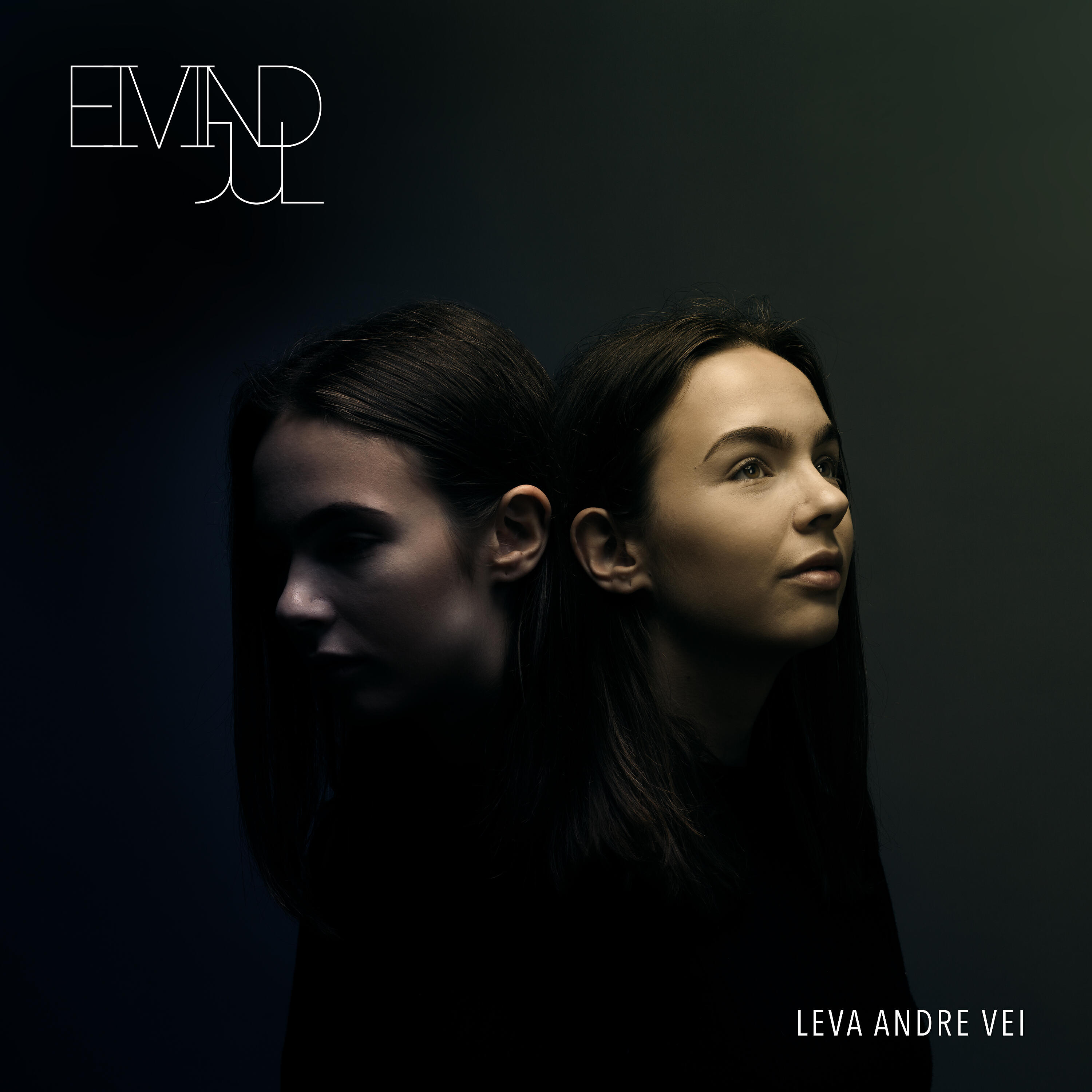 Релиз Leva Andre Vei