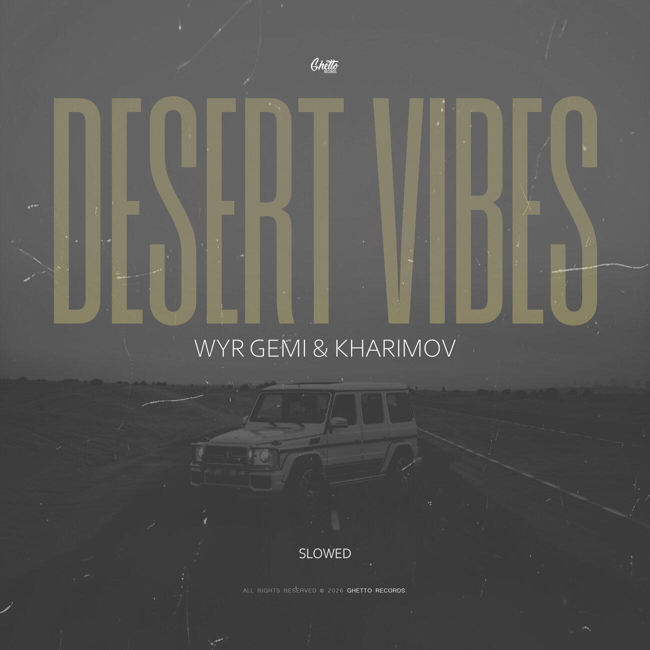 Релиз Desert Vibes (Slowed)