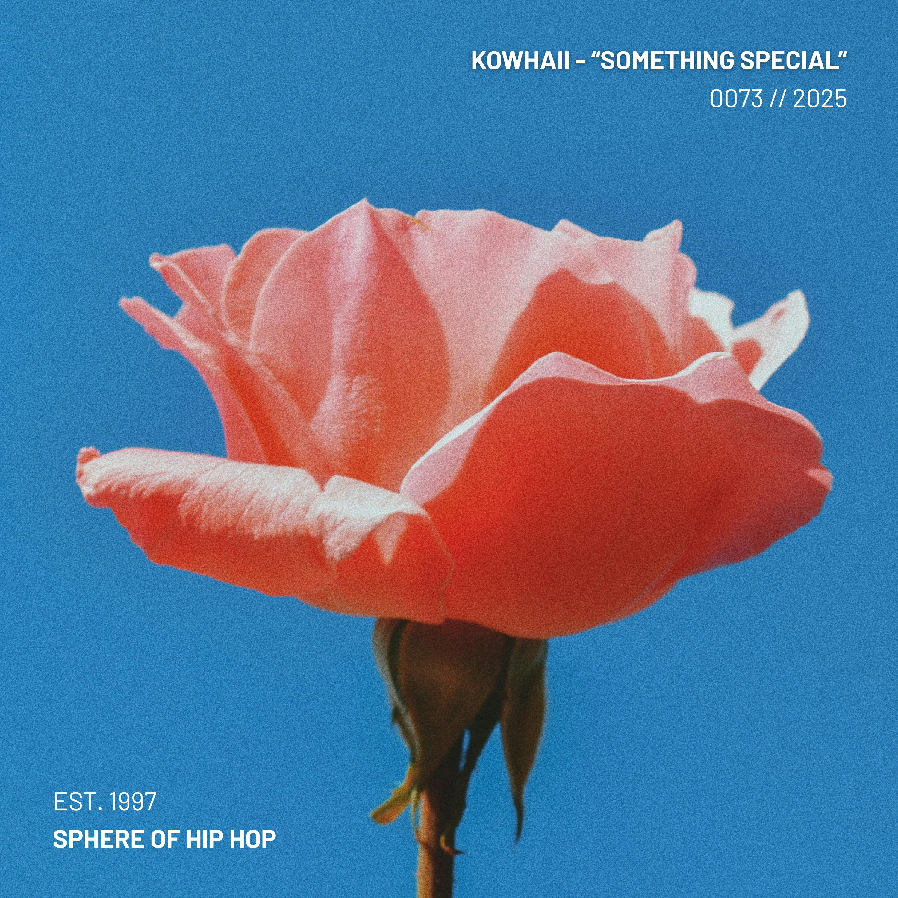 Релиз Something Special