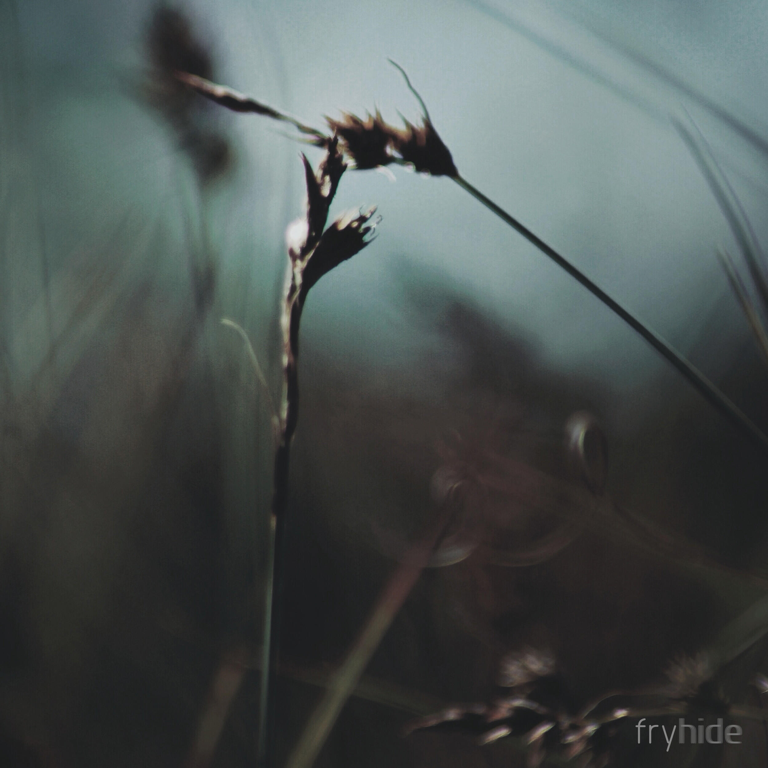 Релиз Stories From Sa Talaia, Chapter IV