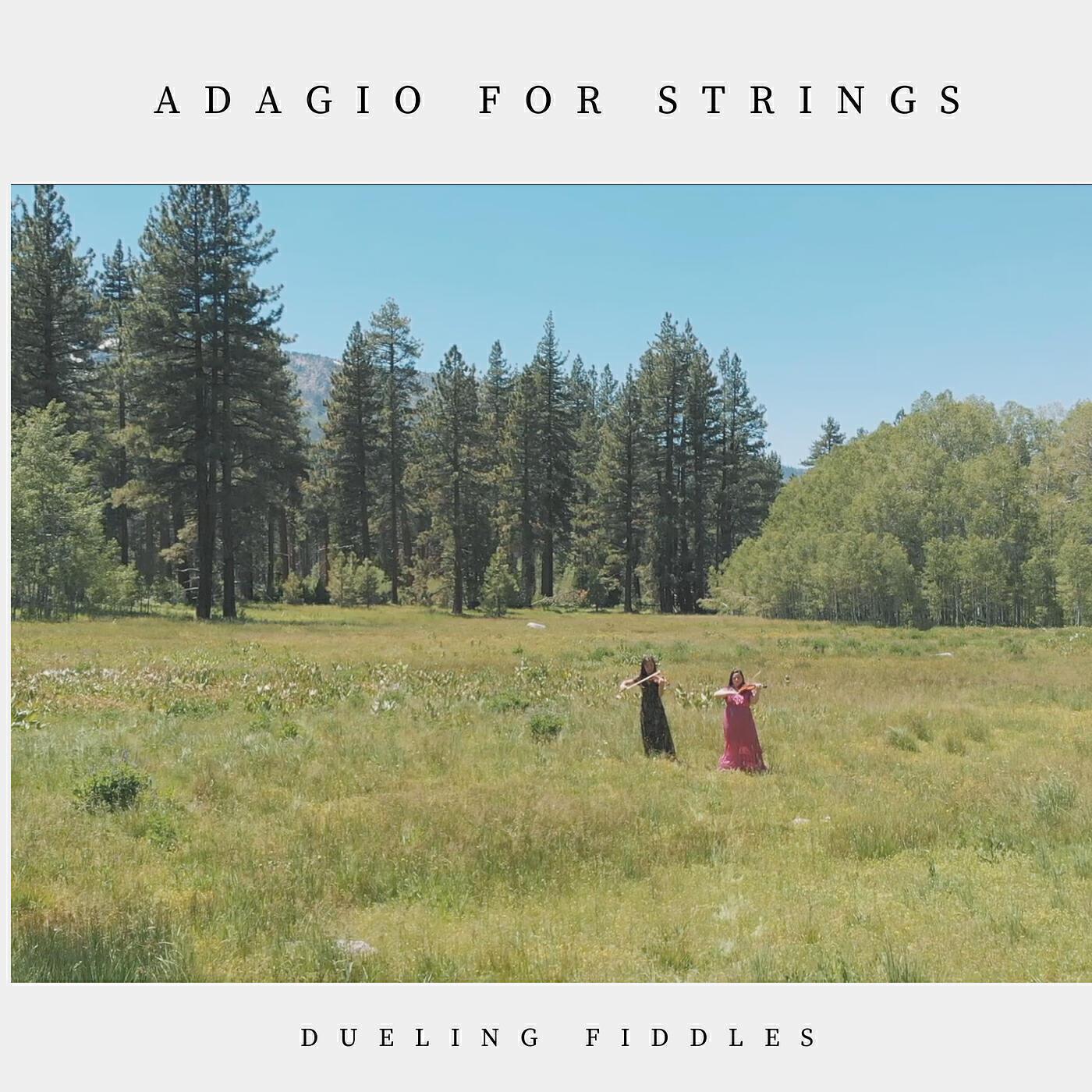 Dueling Fiddles