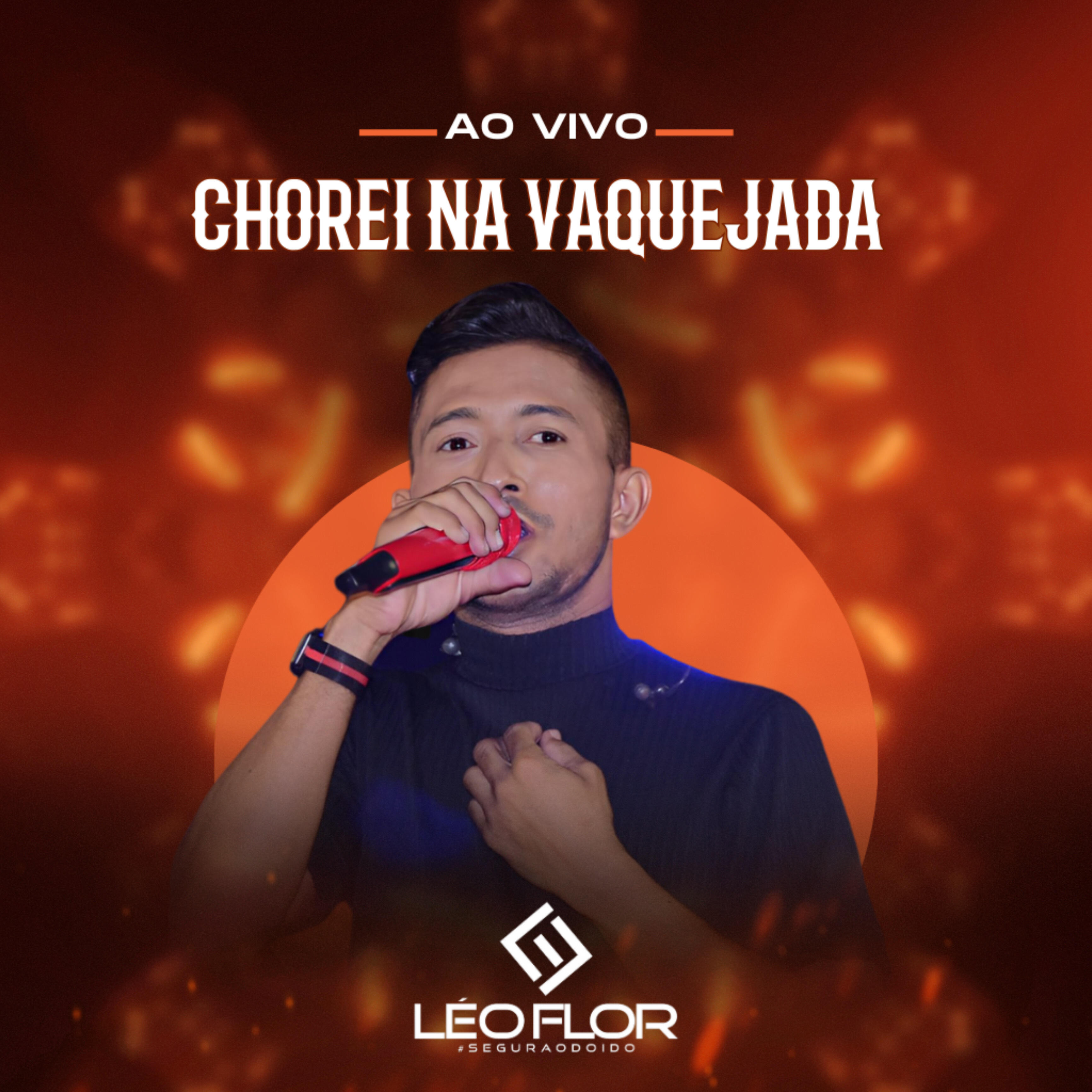 Релиз Chorei na Vaquejada