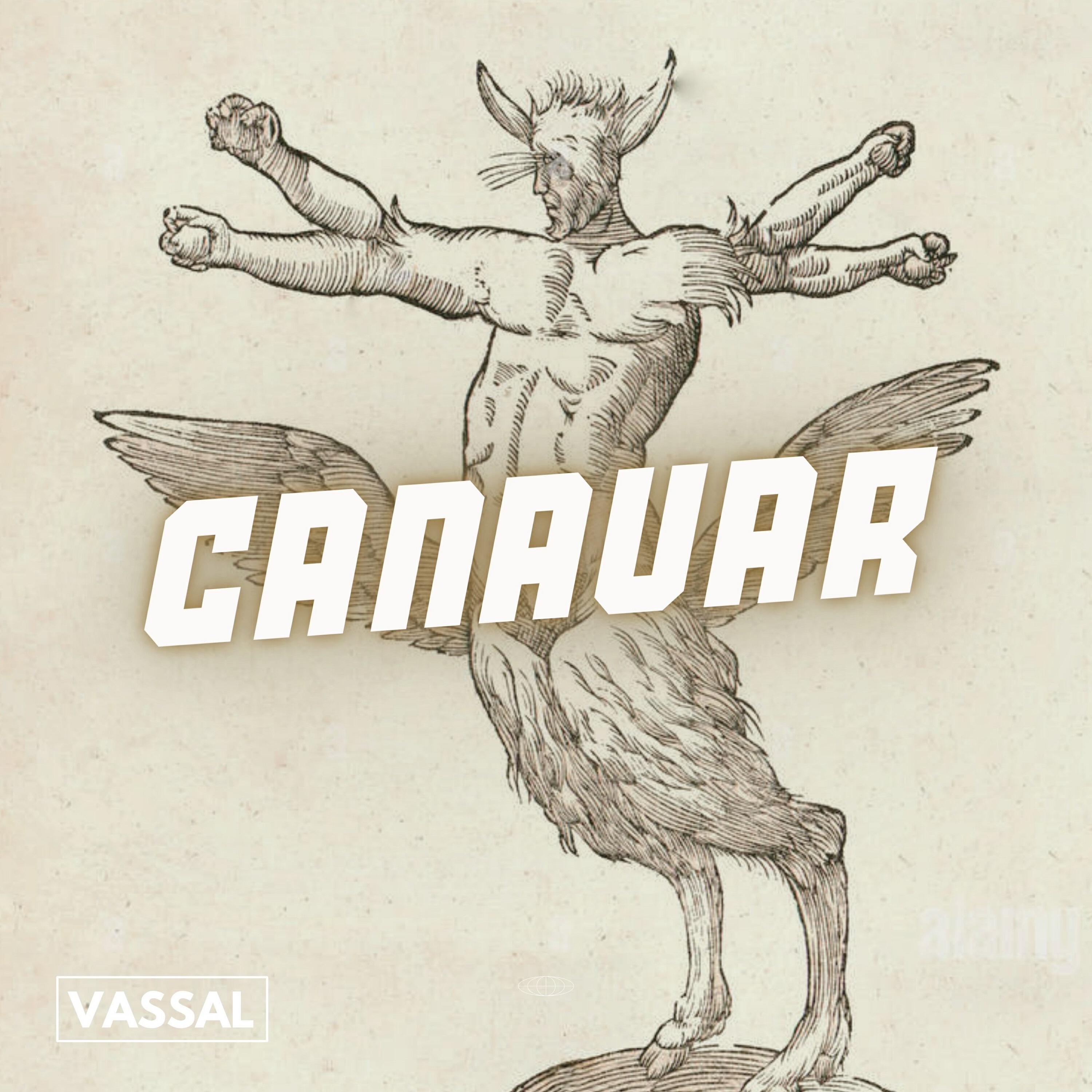 Релиз Canavar