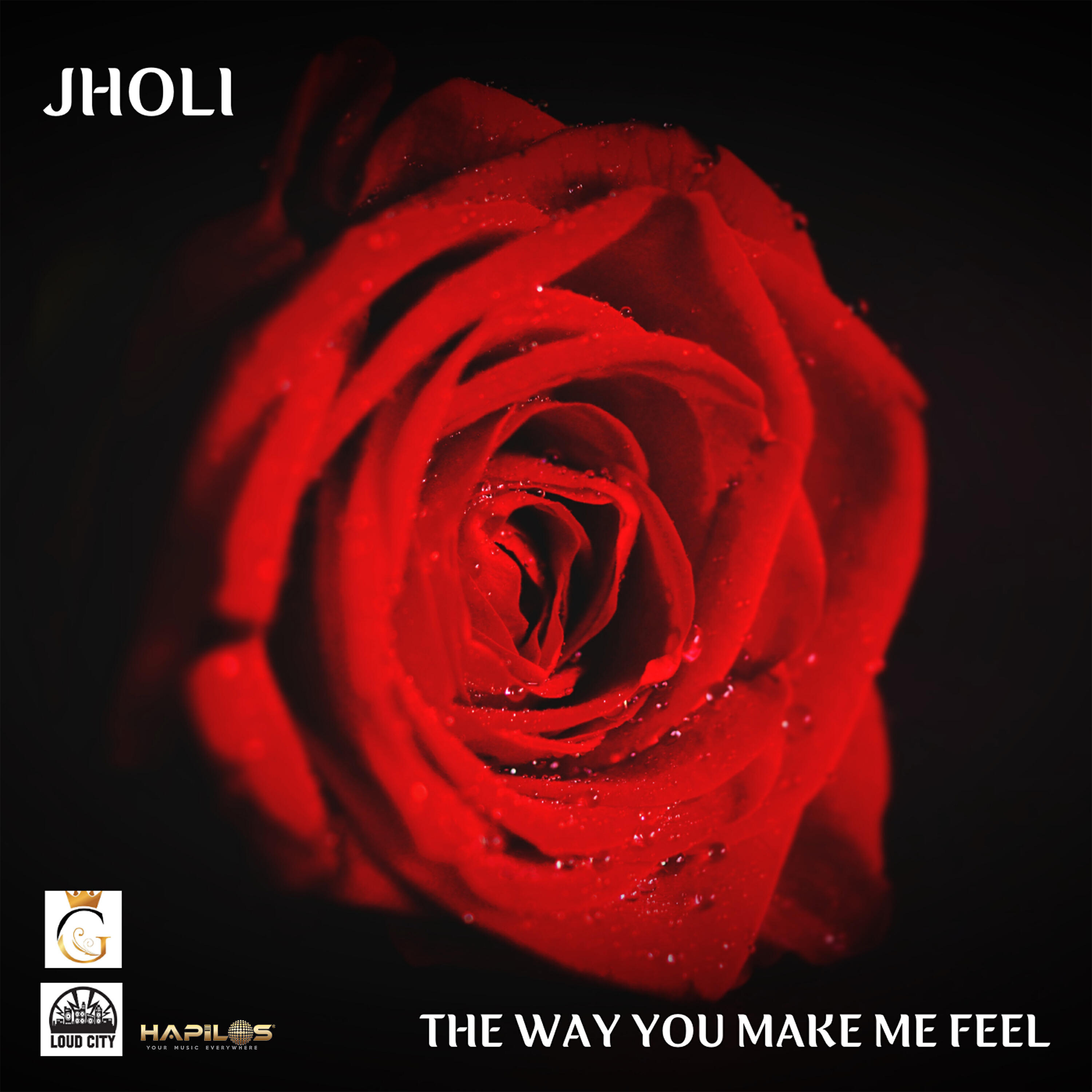 Jholi